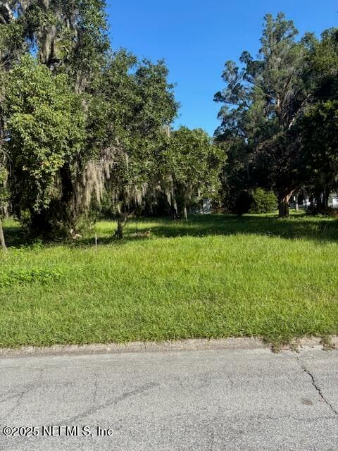 314 BAYARD Street, Green Cove Springs, FL 32043