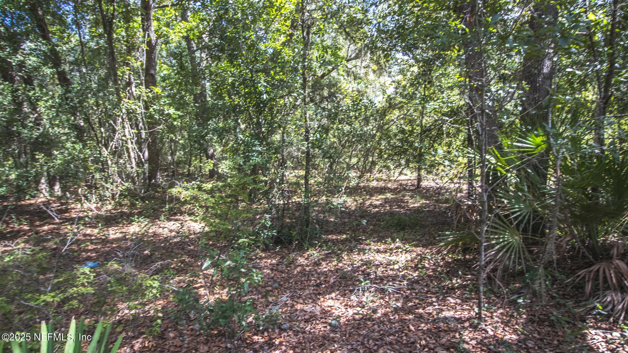 Photo 8 of 23172 SE 120TH Place, Hawthorne, FL 32640