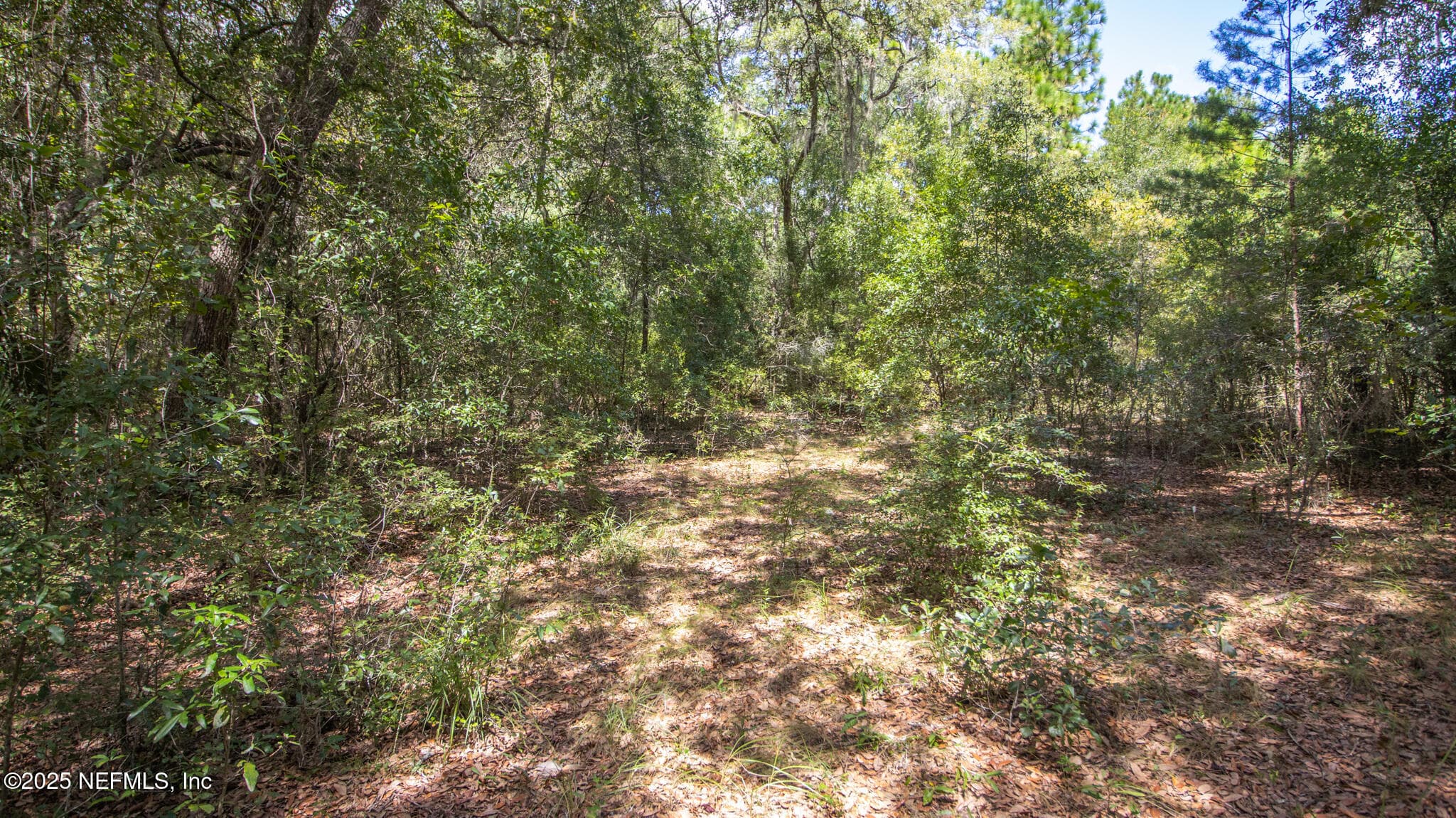 Photo 9 of 23172 SE 120TH Place, Hawthorne, FL 32640