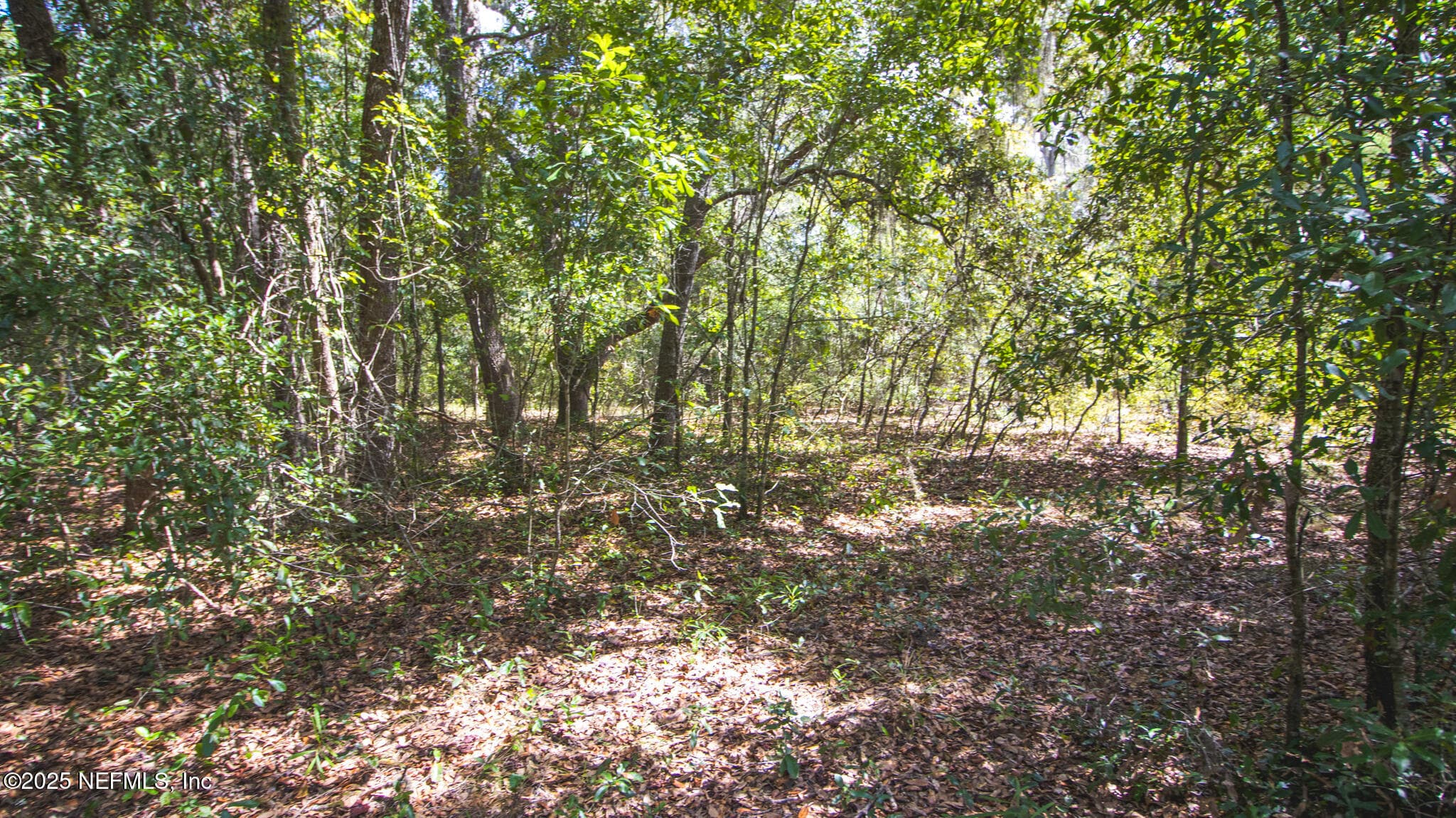 Photo 10 of 23172 SE 120TH Place, Hawthorne, FL 32640