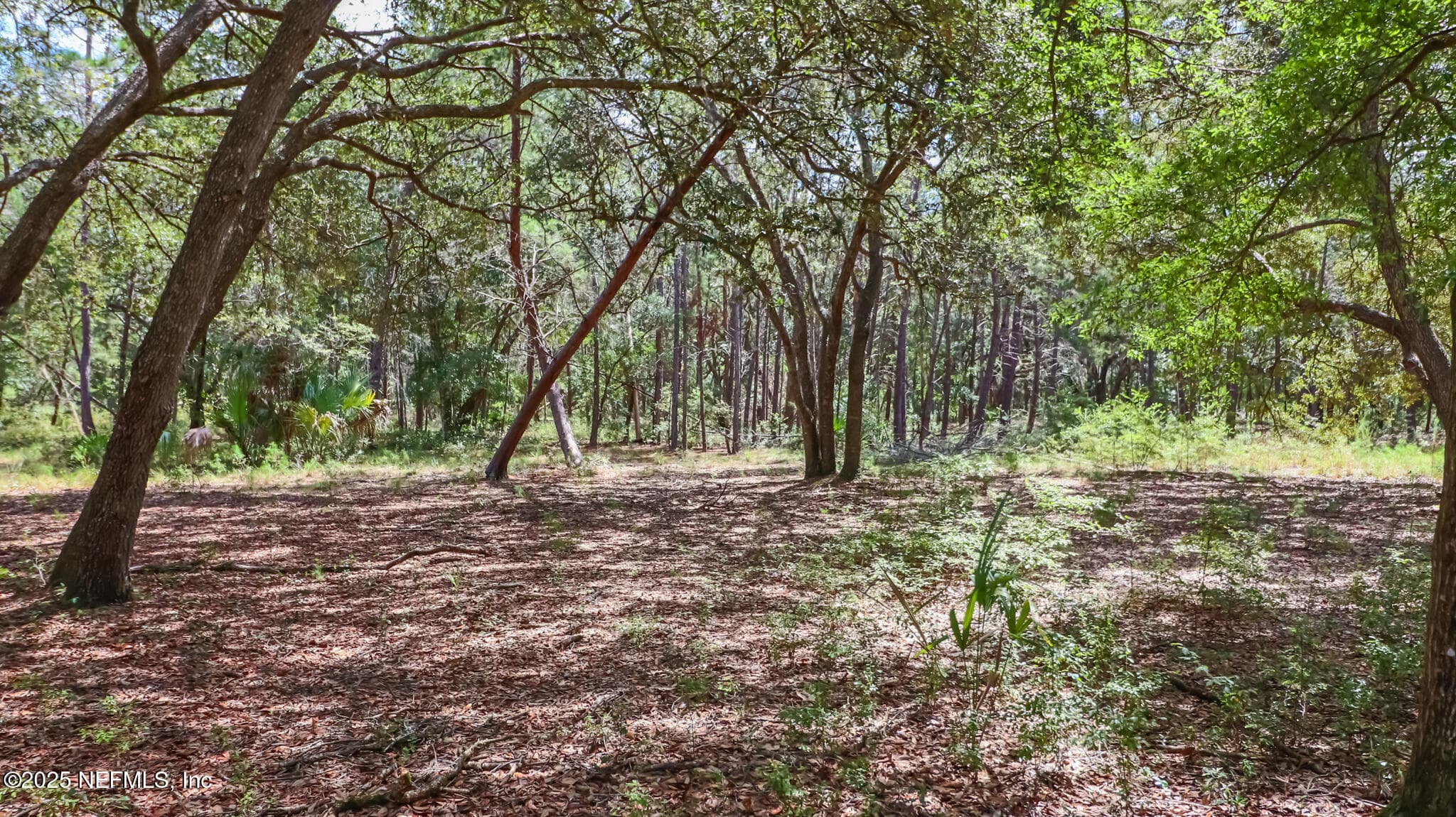 Photo 11 of 23172 SE 120TH Place, Hawthorne, FL 32640