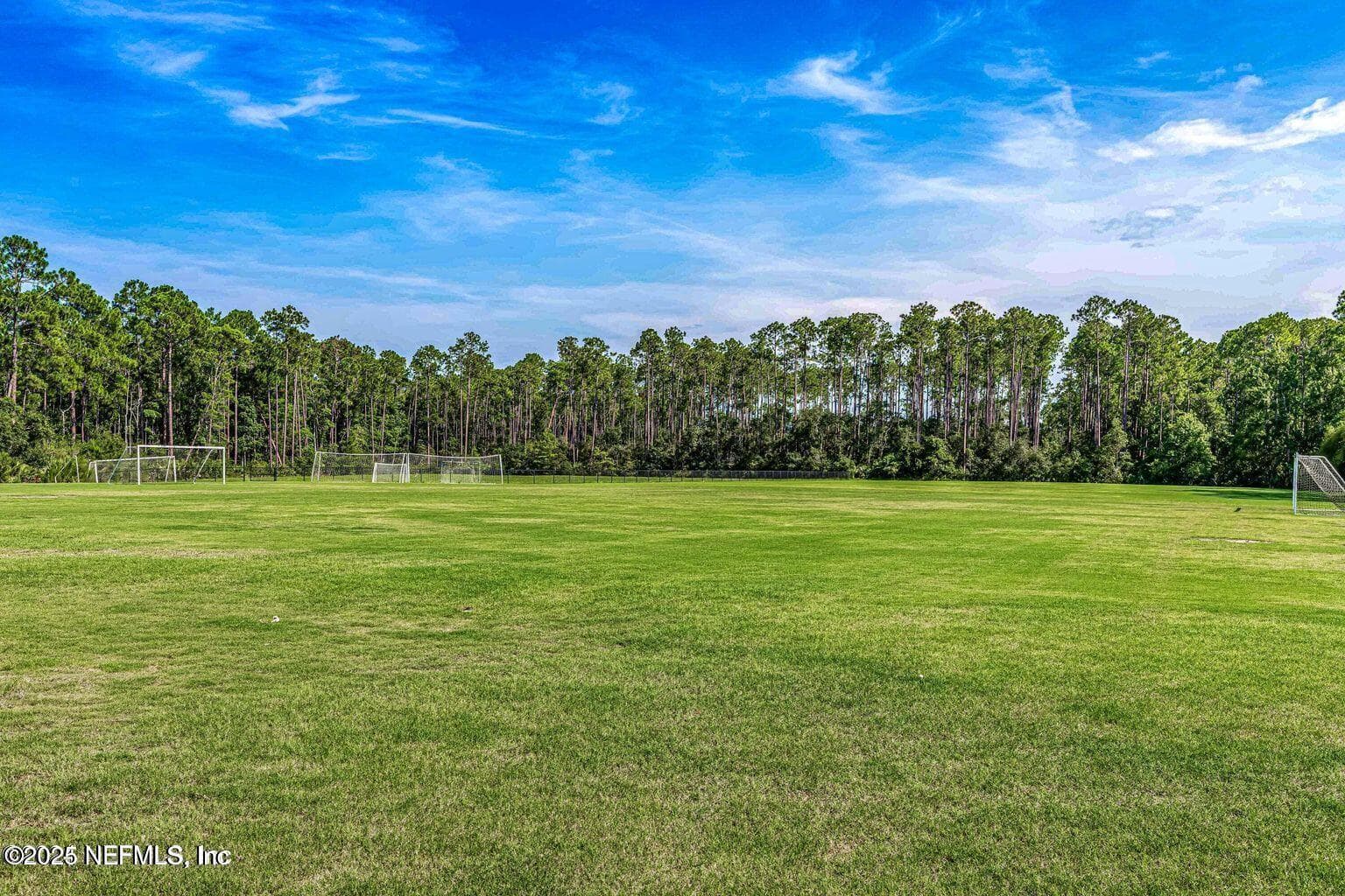 Photo 74 of 252 BERMUDA GREENS Avenue, Ponte Vedra, FL 32081