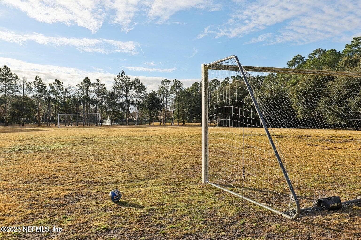 Photo 85 of 252 BERMUDA GREENS Avenue, Ponte Vedra, FL 32081