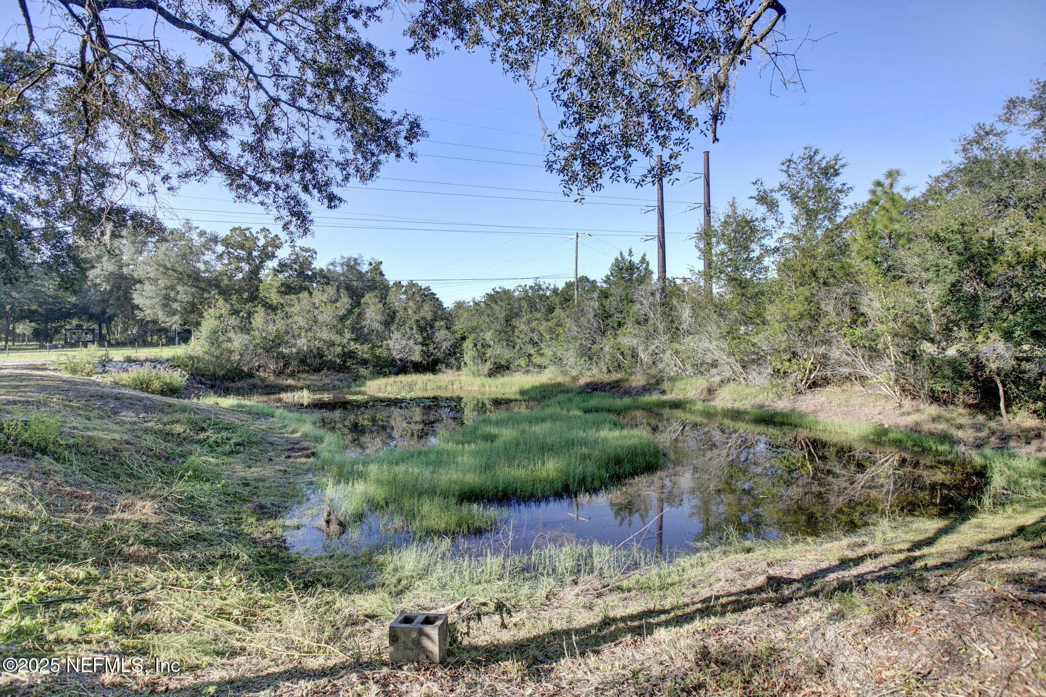 Photo 19 of 392 FOXTAIL Avenue, Middleburg, FL 32068