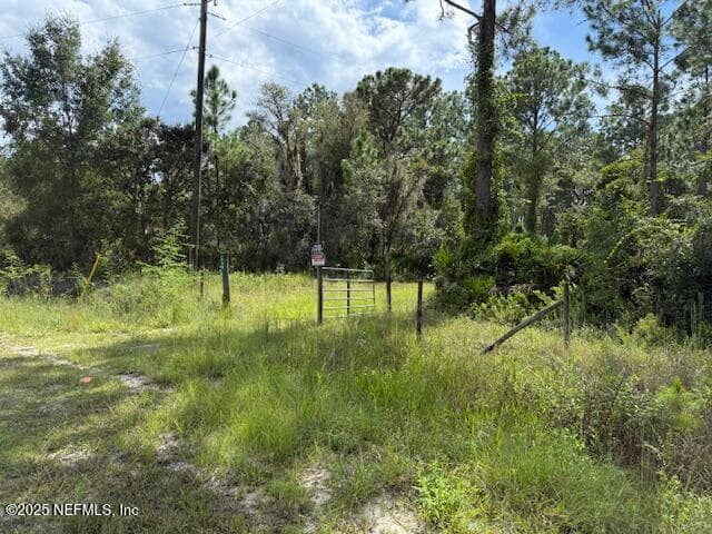 Photo 43 of 139 LAKEWAY Drive, Georgetown, FL 32139