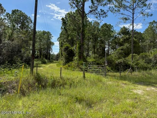 Photo 35 of 139 LAKEWAY Drive, Georgetown, FL 32139
