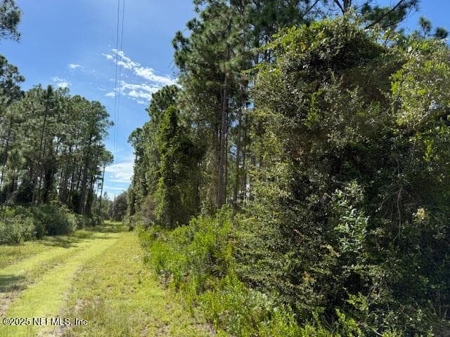 Photo 36 of 139 LAKEWAY Drive, Georgetown, FL 32139