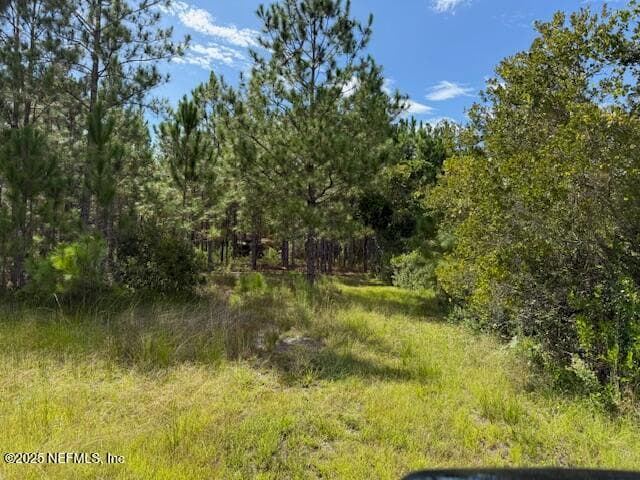 Photo 37 of 139 LAKEWAY Drive, Georgetown, FL 32139