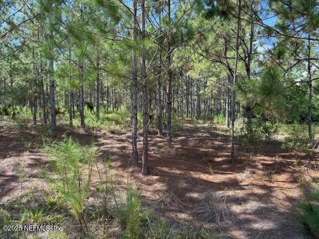 Photo 38 of 139 LAKEWAY Drive, Georgetown, FL 32139