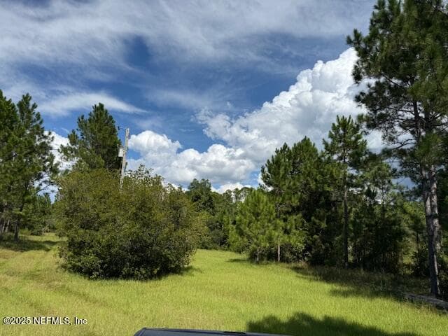 Photo 39 of 139 LAKEWAY Drive, Georgetown, FL 32139