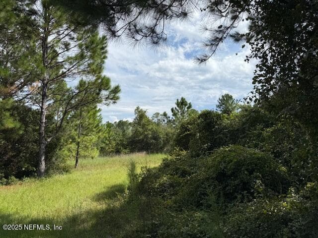 Photo 40 of 139 LAKEWAY Drive, Georgetown, FL 32139