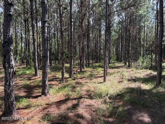 Photo 41 of 139 LAKEWAY Drive, Georgetown, FL 32139