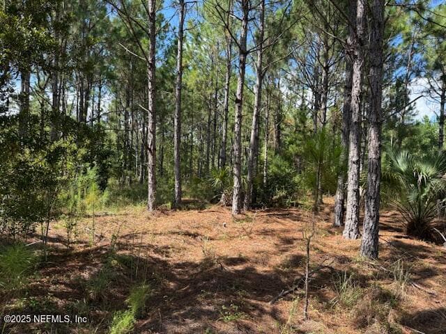 Photo 42 of 139 LAKEWAY Drive, Georgetown, FL 32139