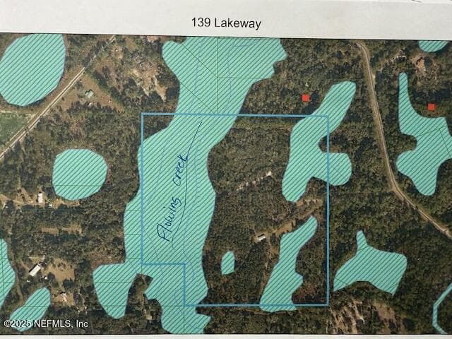 Photo 57 of 139 LAKEWAY Drive, Georgetown, FL 32139