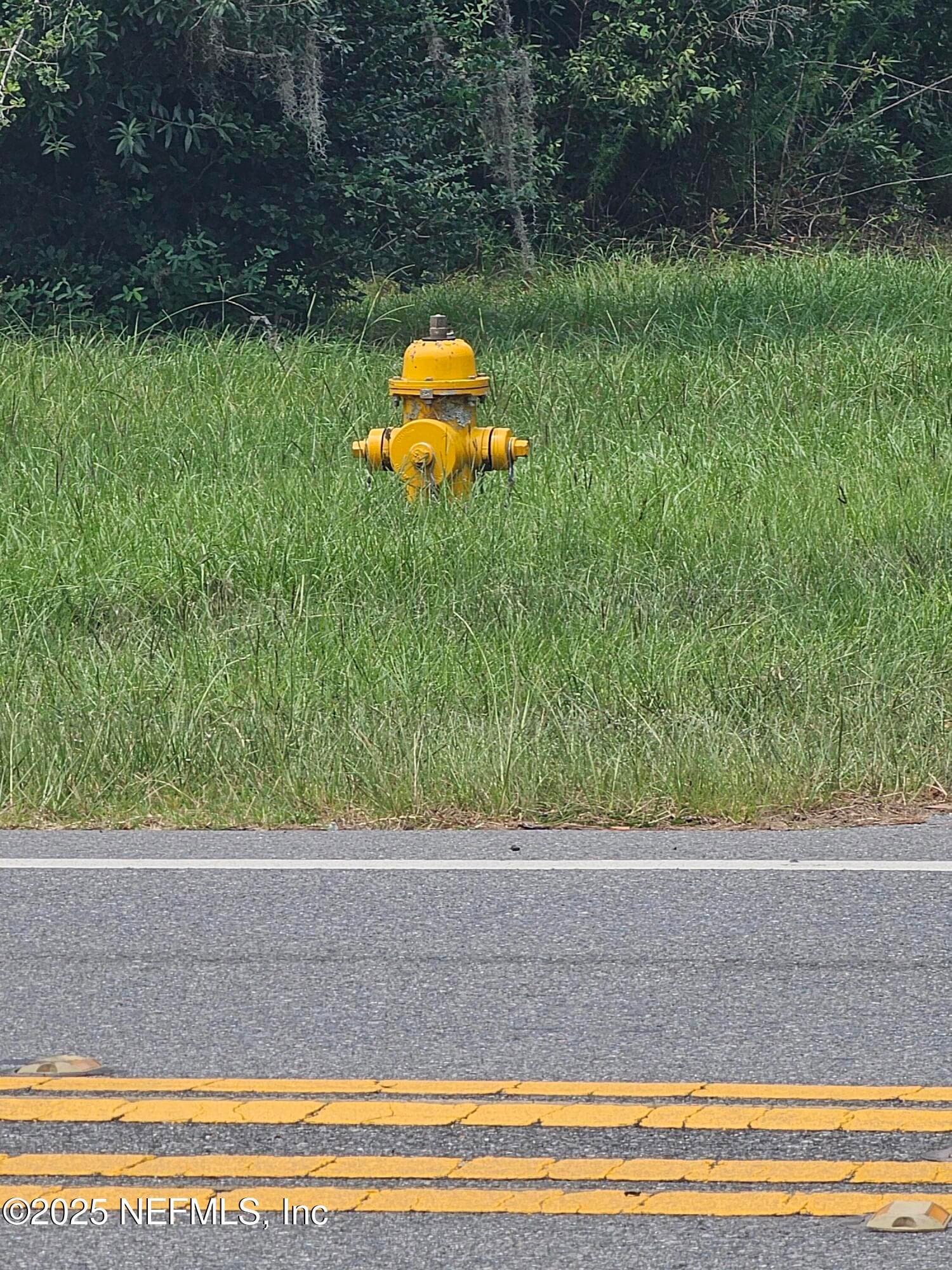Photo 6 of 0 US HIGHWAY 90, Baldwin, FL 32234