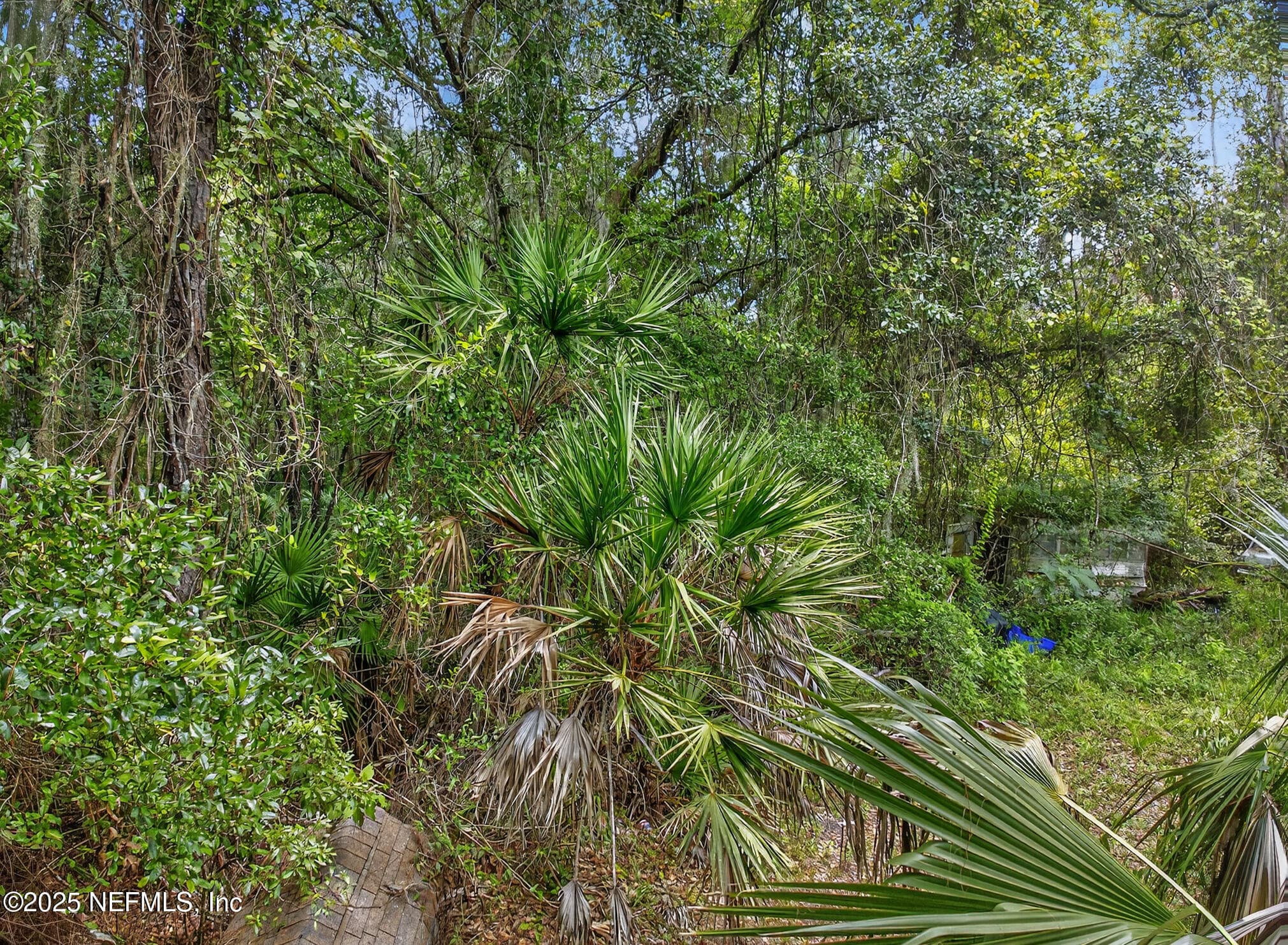 Photo 13 of 933 JOHN Street, St. Augustine, FL 32084