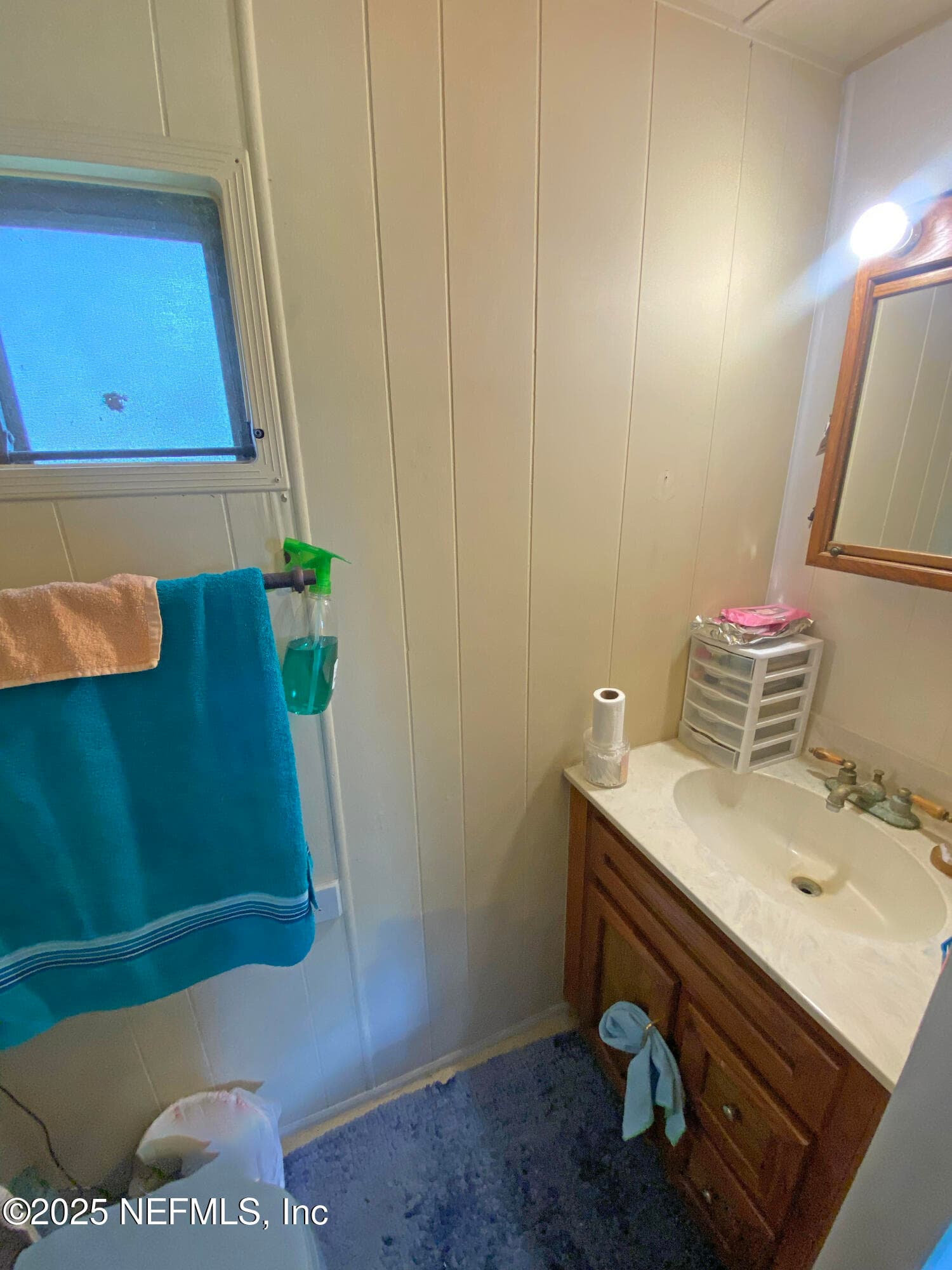 Photo 17 of 148 SWAN LAKE Drive, Melrose, FL 32666