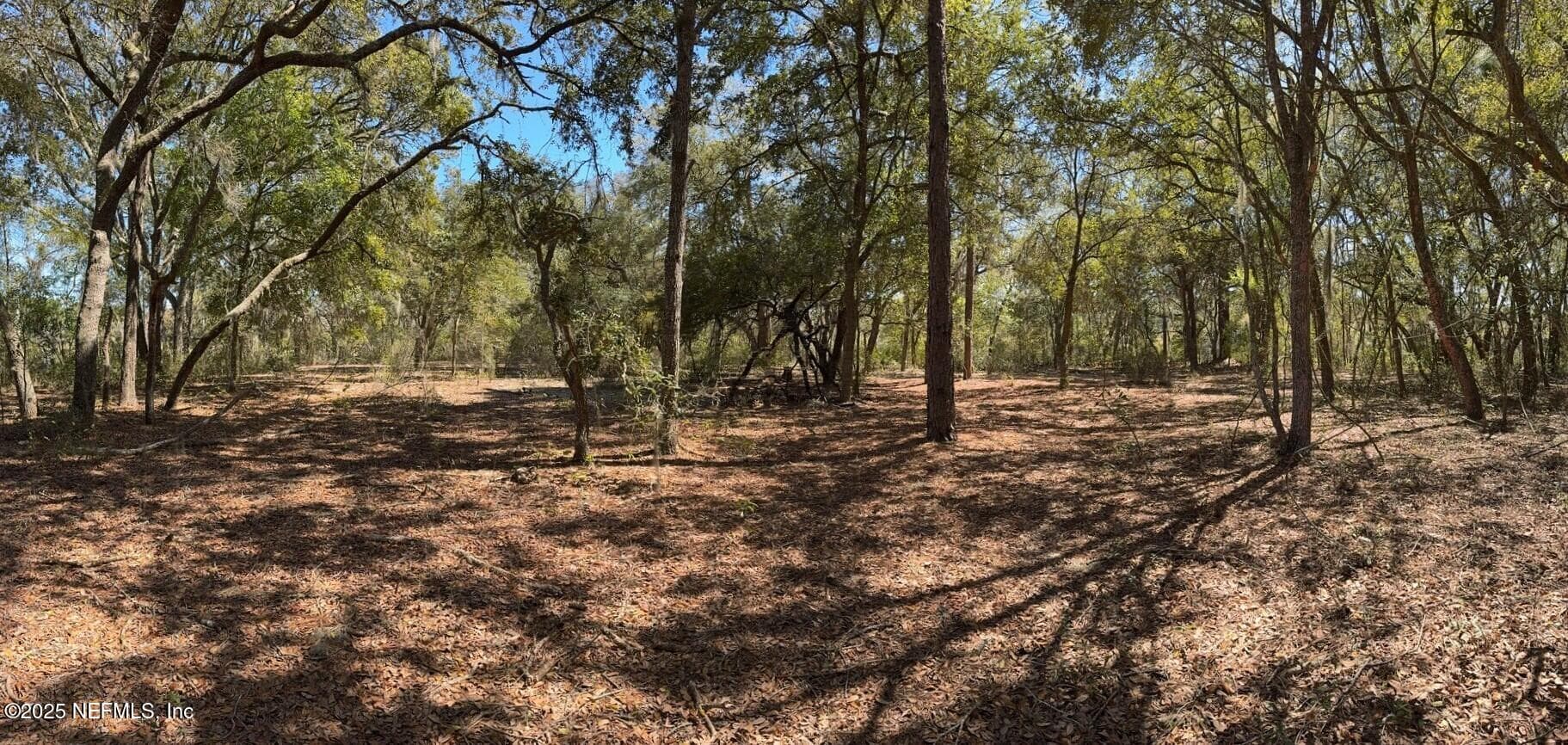 Photo 7 of 1481 STATE ROAD 20, Interlachen, FL 32148
