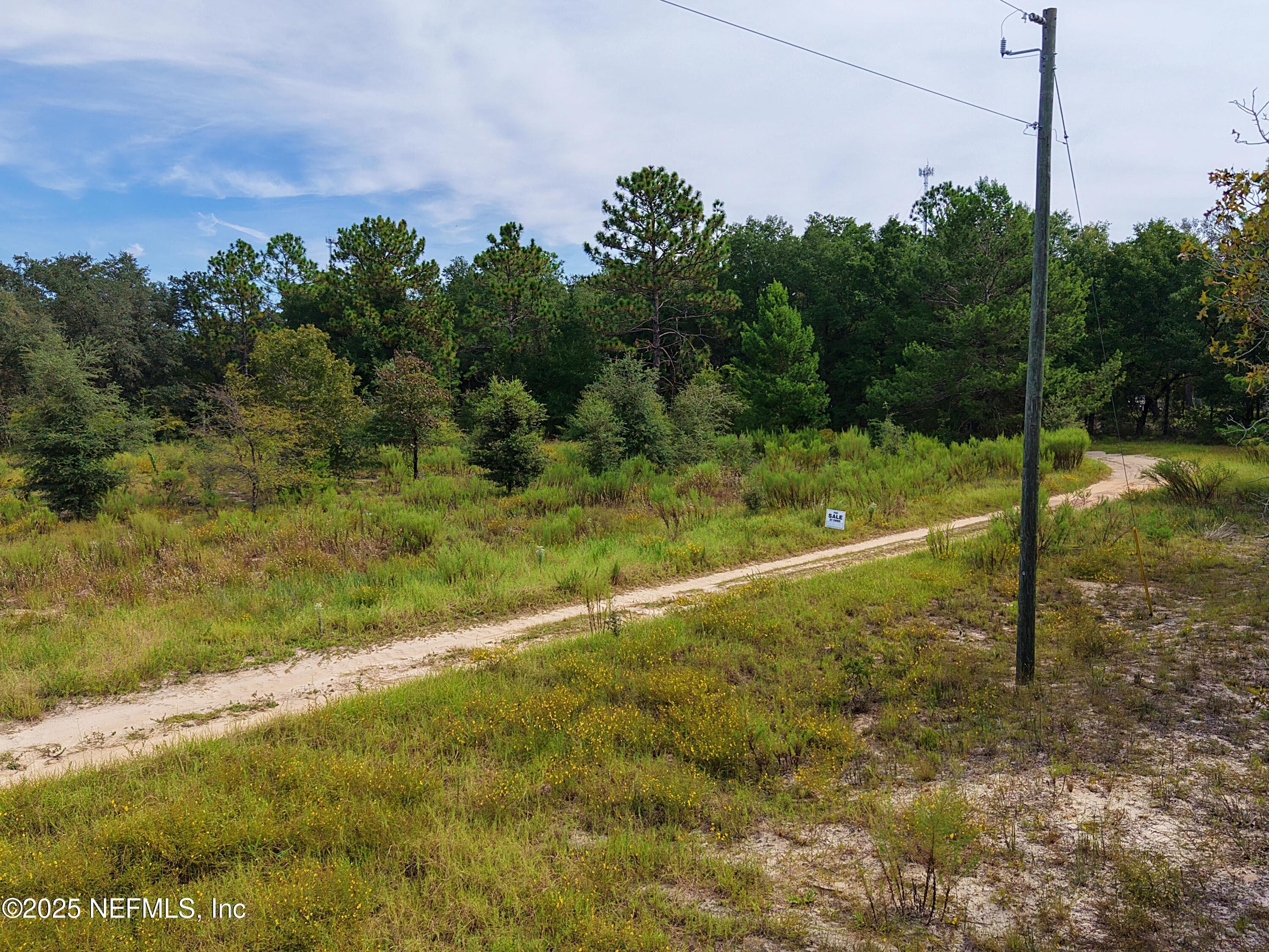 347 CHESSER MONROE Road, Hawthorne, FL 32640