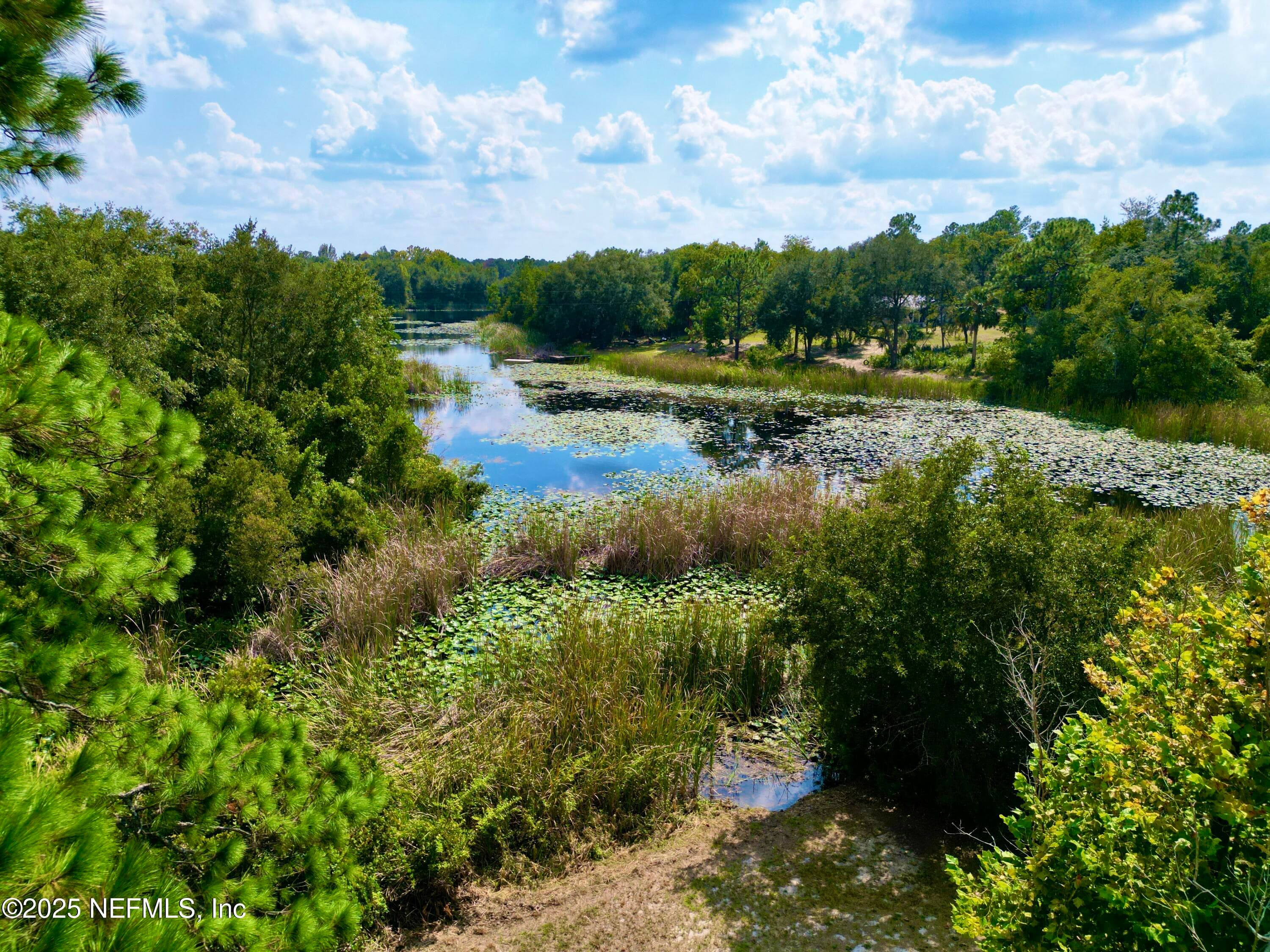 Photo 51 of 137 OAK Circle, Interlachen, FL 32148