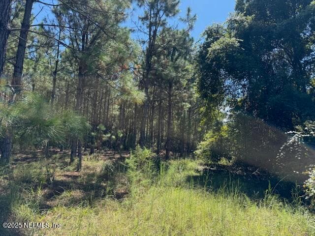 Photo 44 of 139 LAKEWAY Drive, Georgetown, FL 32139