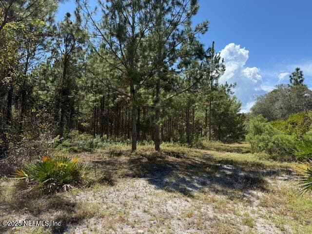 Photo 30 of 139 LAKEWAY Drive, Georgetown, FL 32139