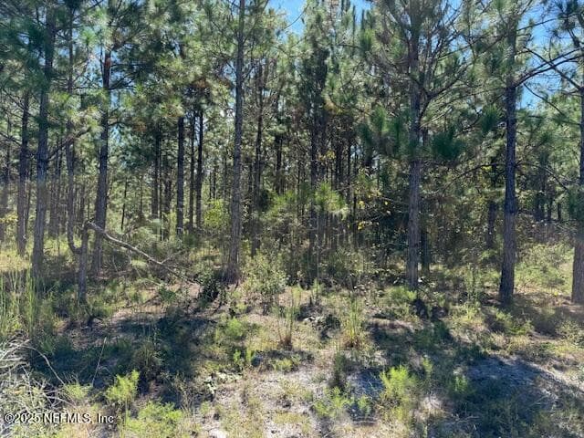 Photo 47 of 139 LAKEWAY Drive, Georgetown, FL 32139