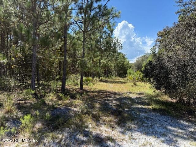 Photo 48 of 139 LAKEWAY Drive, Georgetown, FL 32139