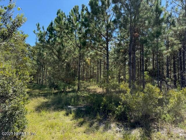 Photo 49 of 139 LAKEWAY Drive, Georgetown, FL 32139