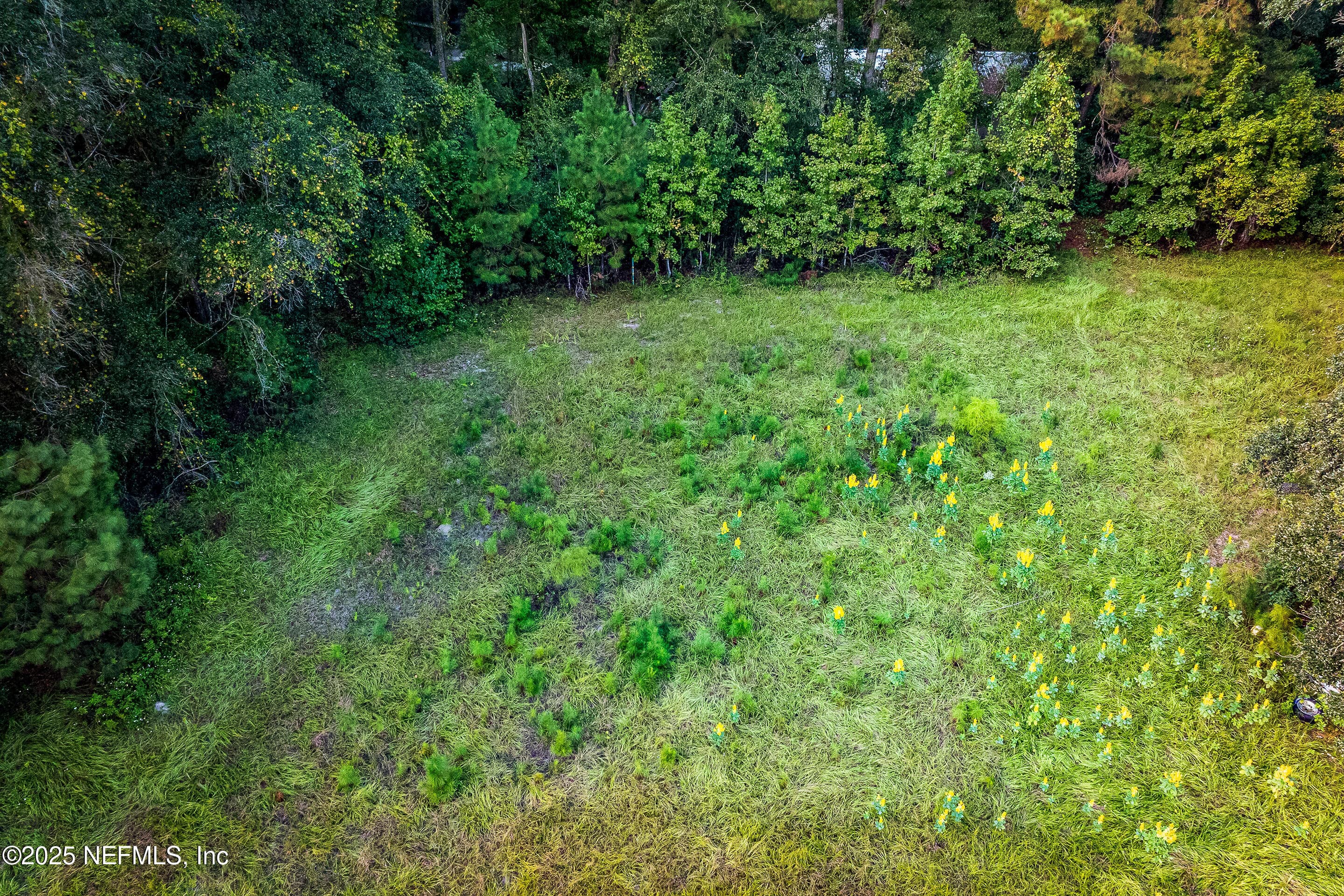 Photo 15 of 6300 J & M RANCH Road, Macclenny, FL 32063
