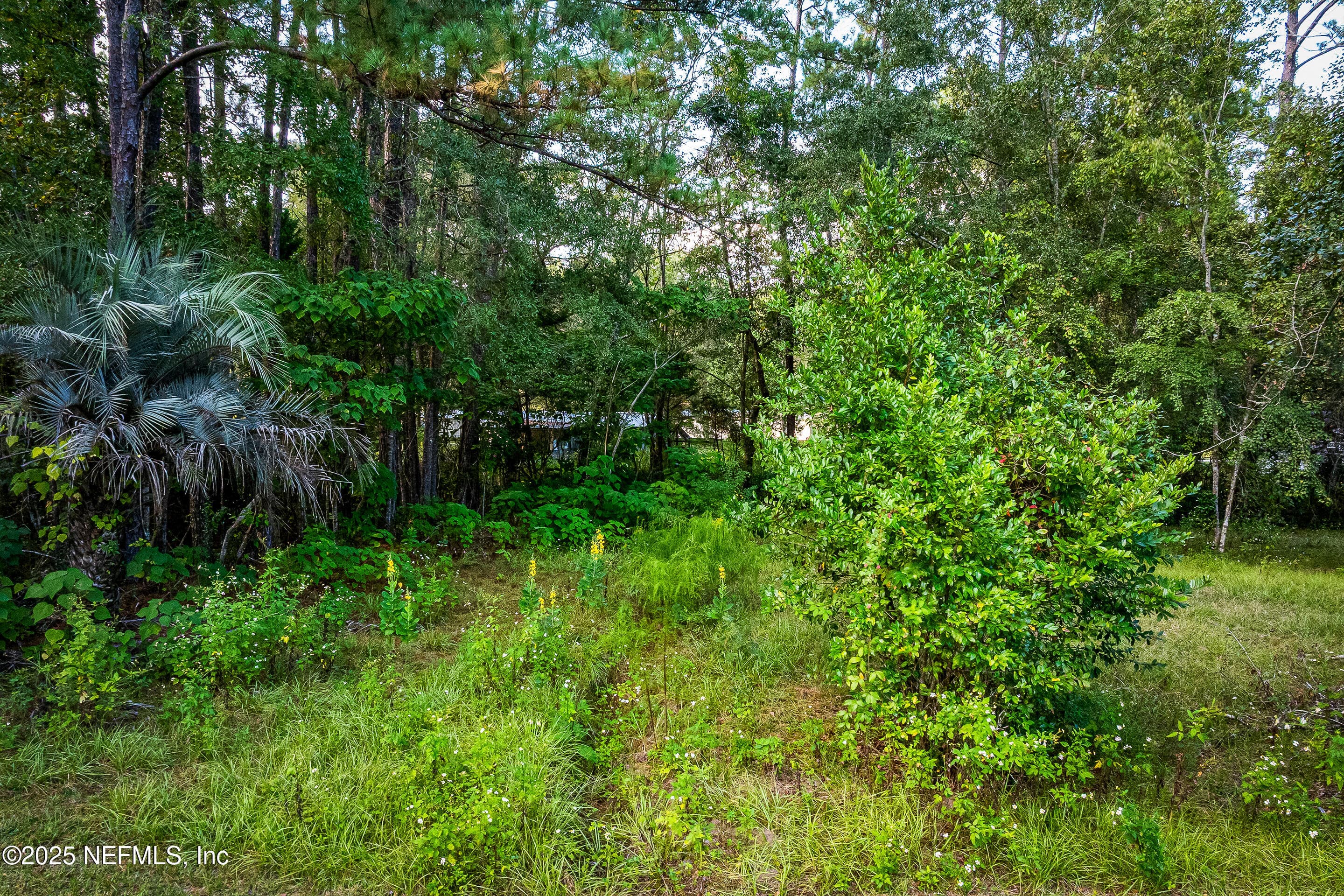 Photo 24 of 6300 J & M RANCH Road, Macclenny, FL 32063