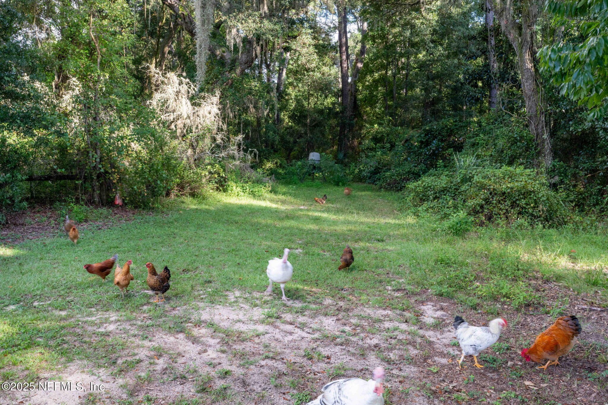 Photo 7 of 105 DAIRY Road, Melrose, FL 32666