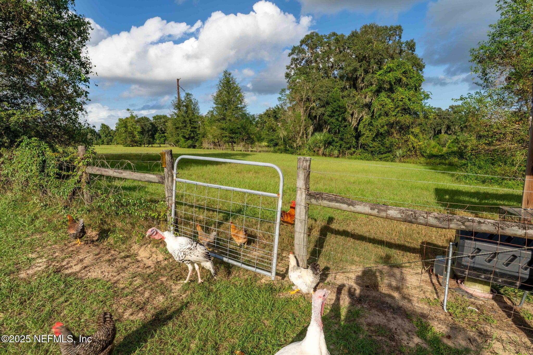 Photo 91 of 105 DAIRY Road, Melrose, FL 32666