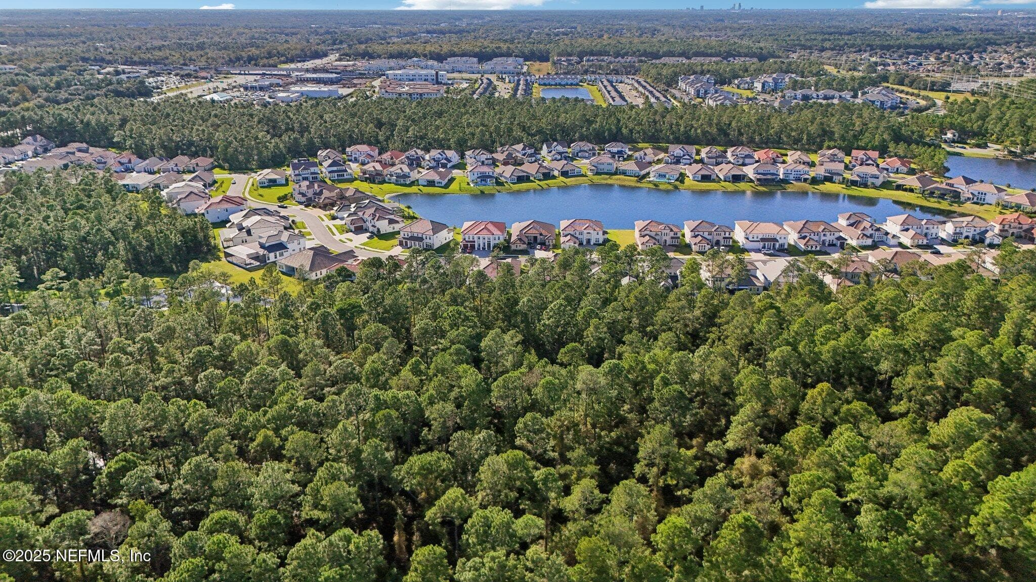 Photo 74 of 3089 SPIRO Circle, Jacksonville, FL 32246