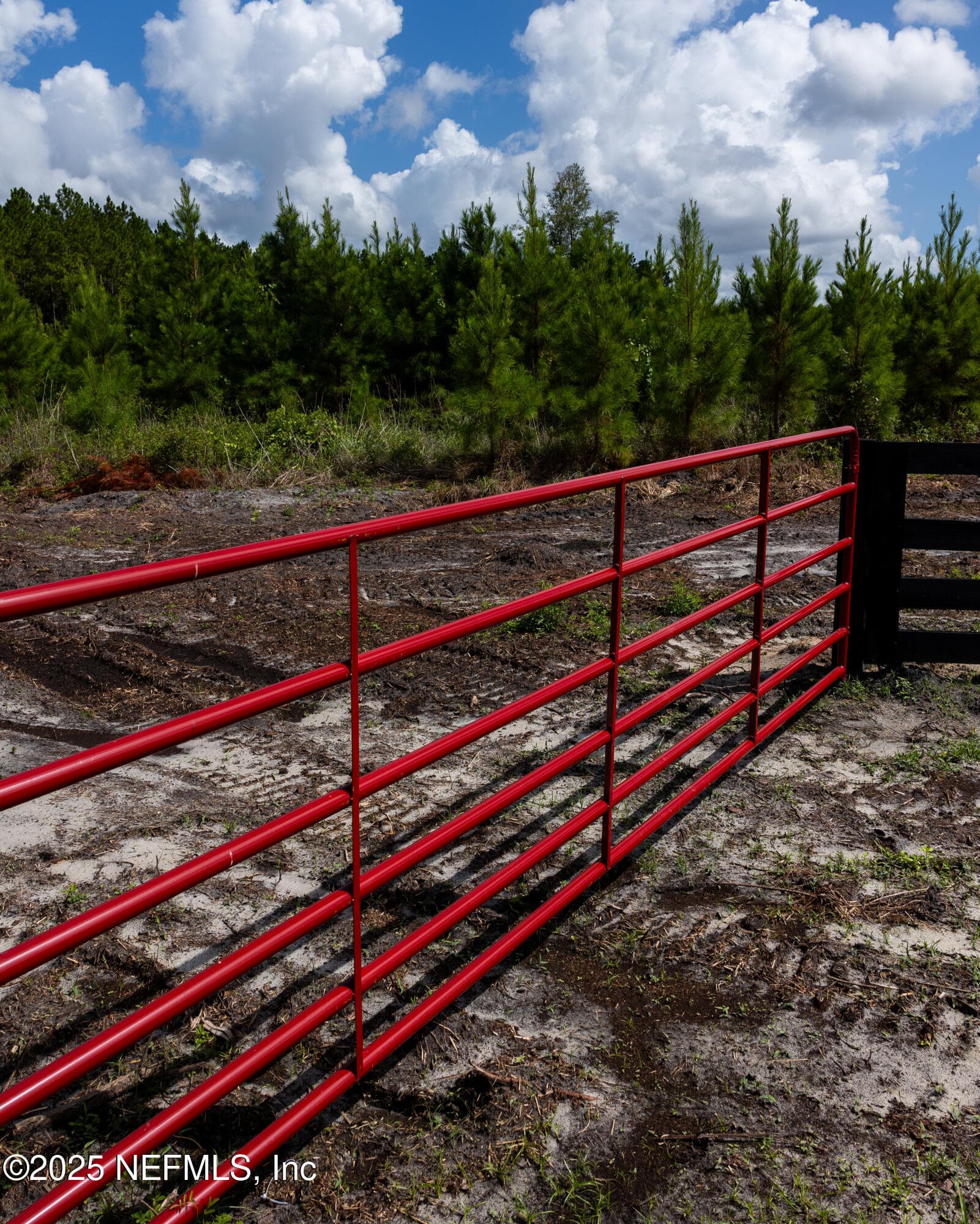 Photo 3 of LOT 8 SW COUNTY ROAD 225, Starke, FL 32091