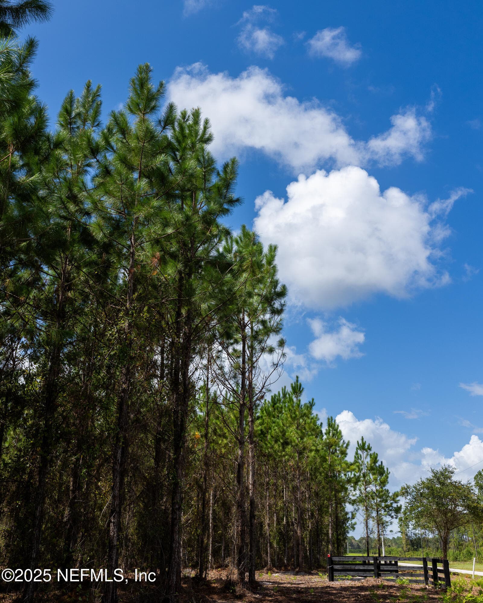 Photo 5 of LOT 8 SW COUNTY ROAD 225, Starke, FL 32091