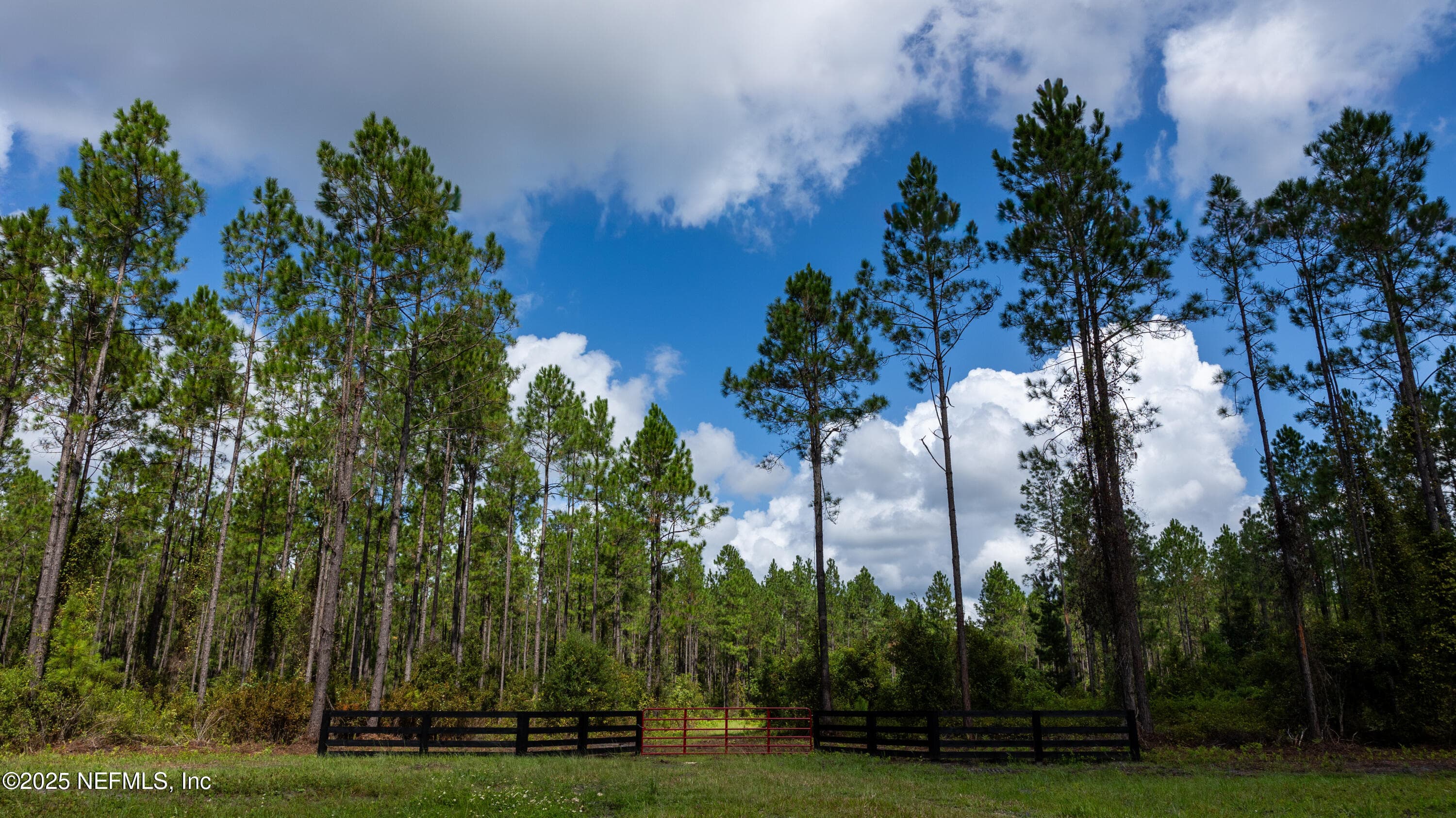 Photo 6 of LOT 8 SW COUNTY ROAD 225, Starke, FL 32091