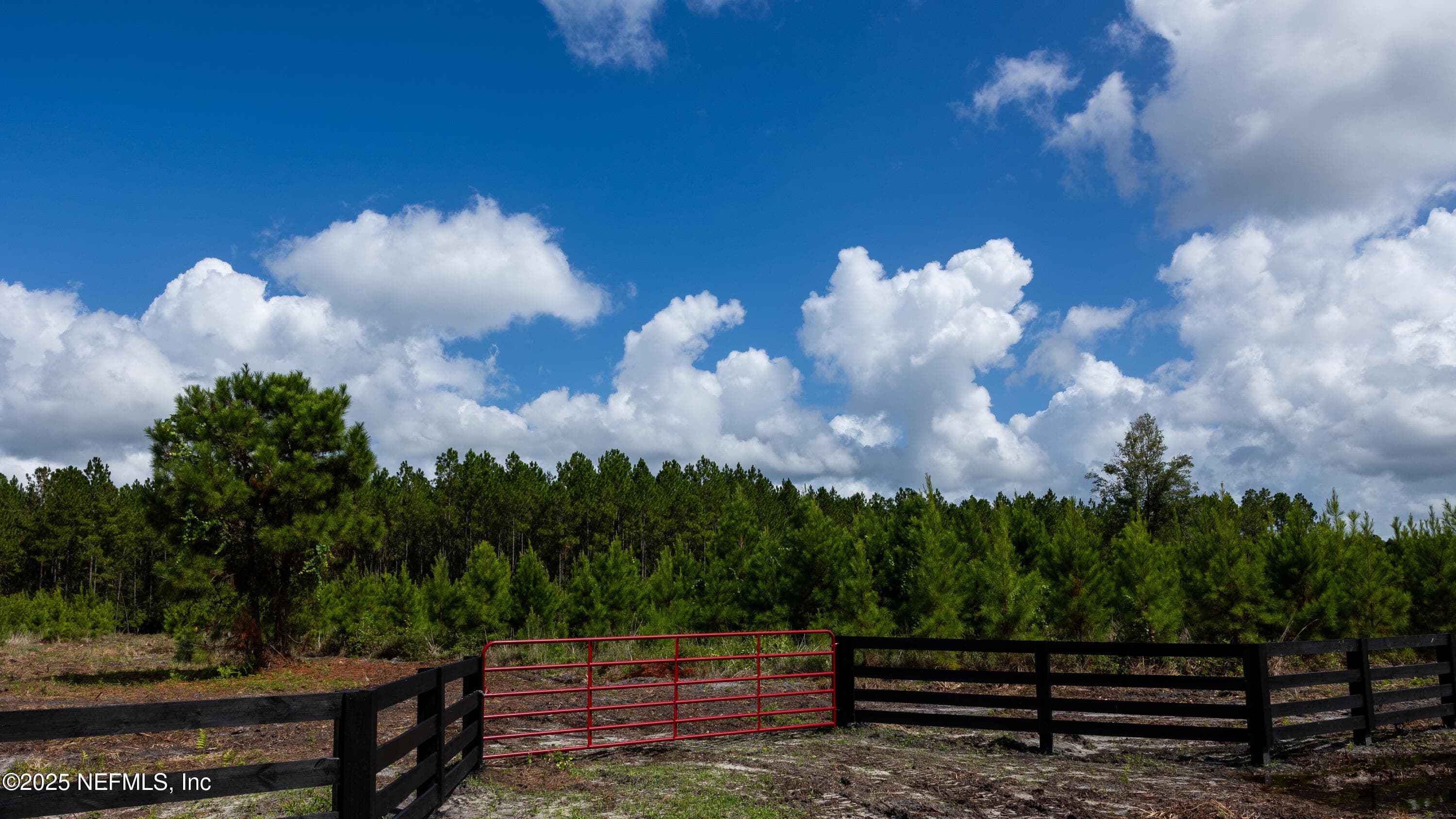 Photo 2 of LOT 14 SW COUNTY ROAD 225, Starke, FL 32091