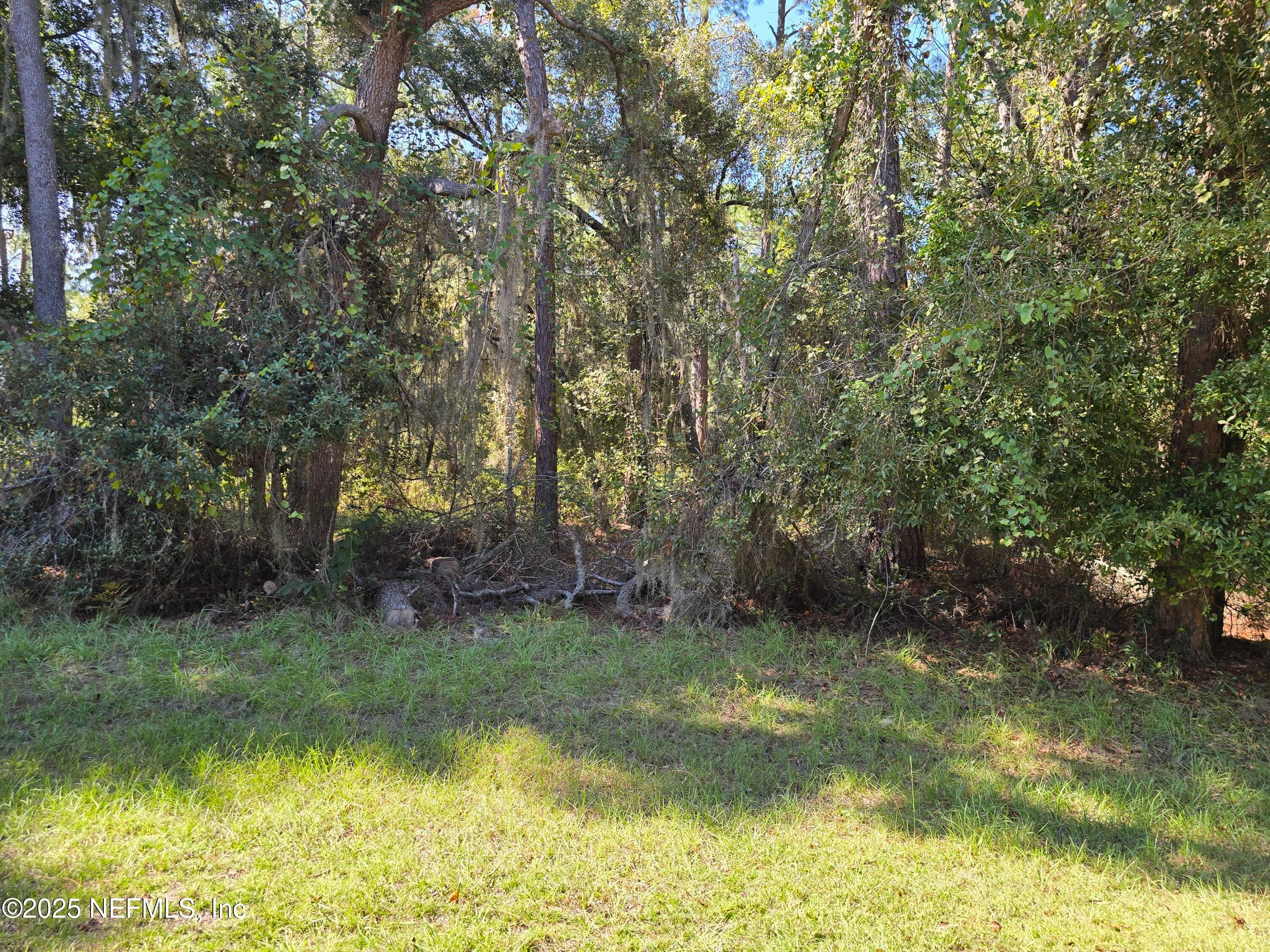 Photo 4 of 00 W LAKESHORE Drive, Starke, FL 32091