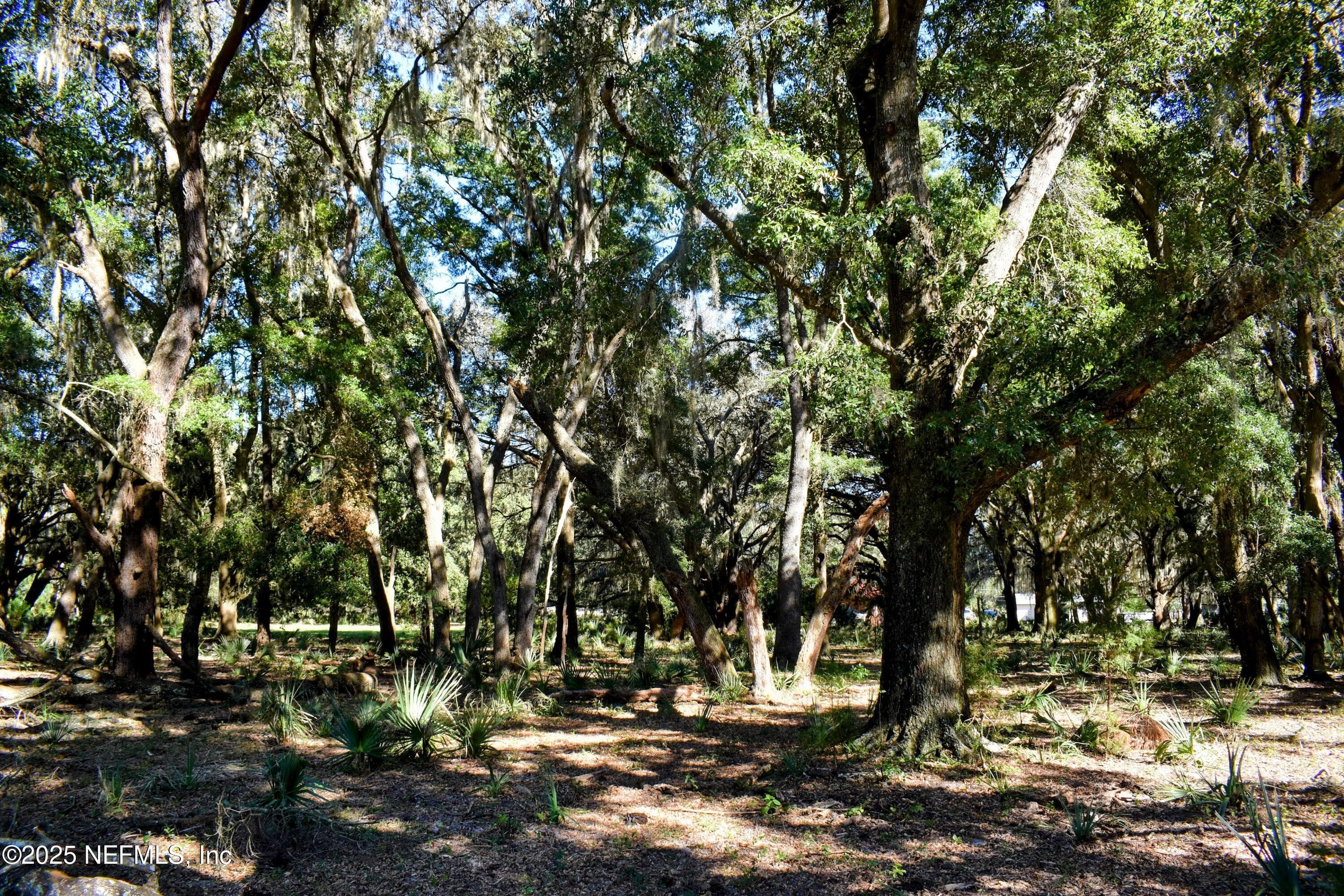 Photo 11 of 00 W PENIEL Road, Palatka, FL 32177