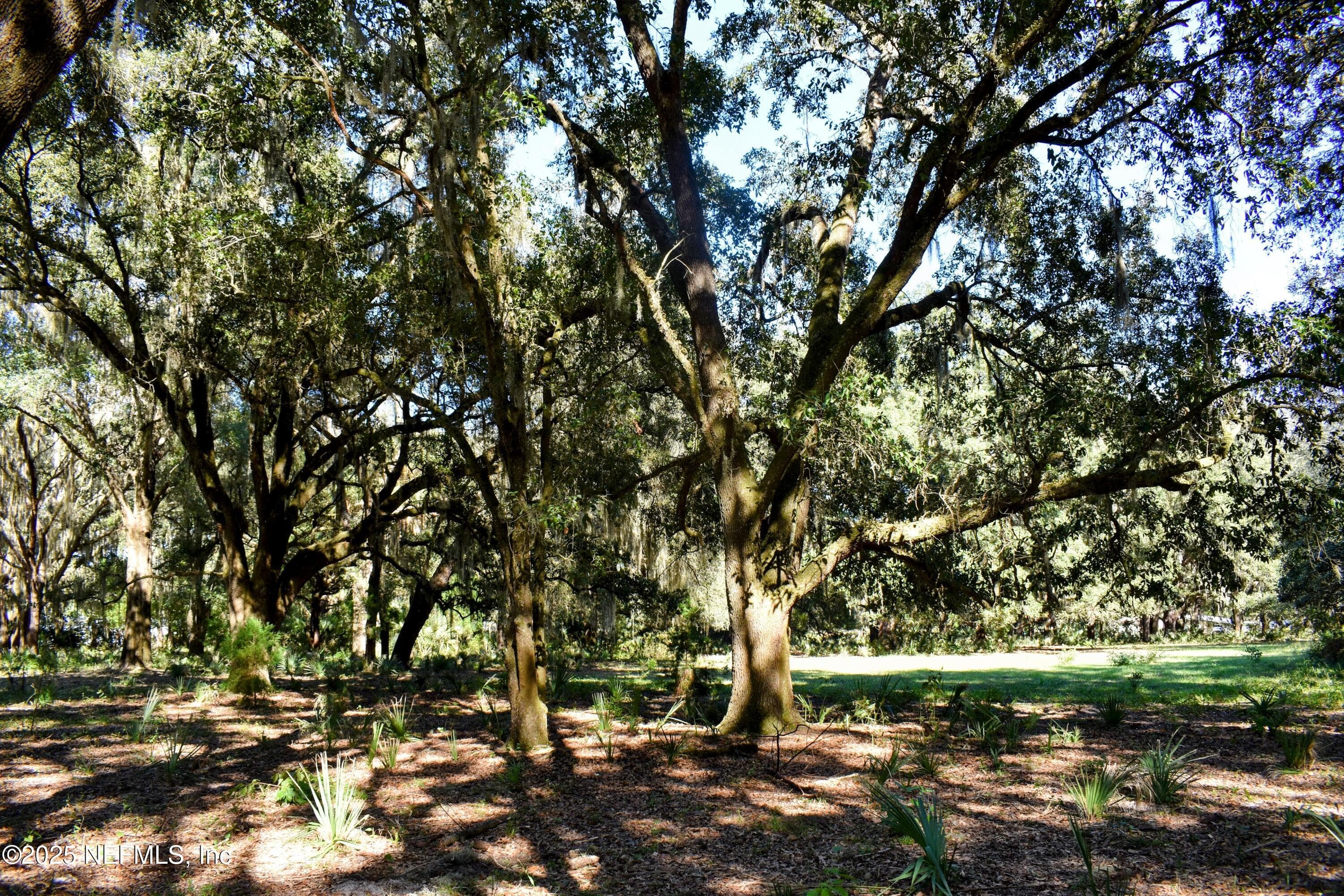 Photo 26 of 00 W PENIEL Road, Palatka, FL 32177
