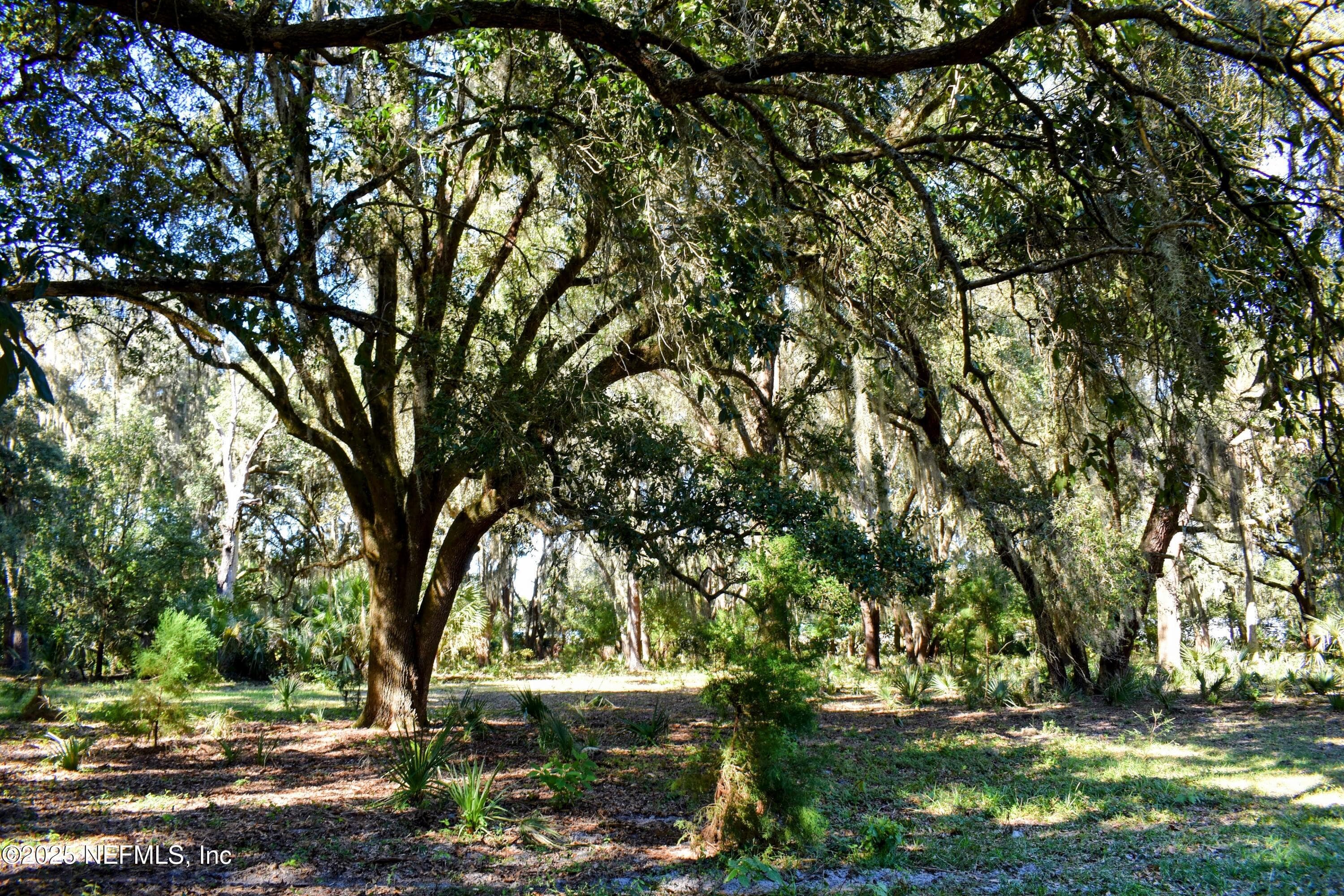 Photo 9 of 00 W PENIEL Road, Palatka, FL 32177