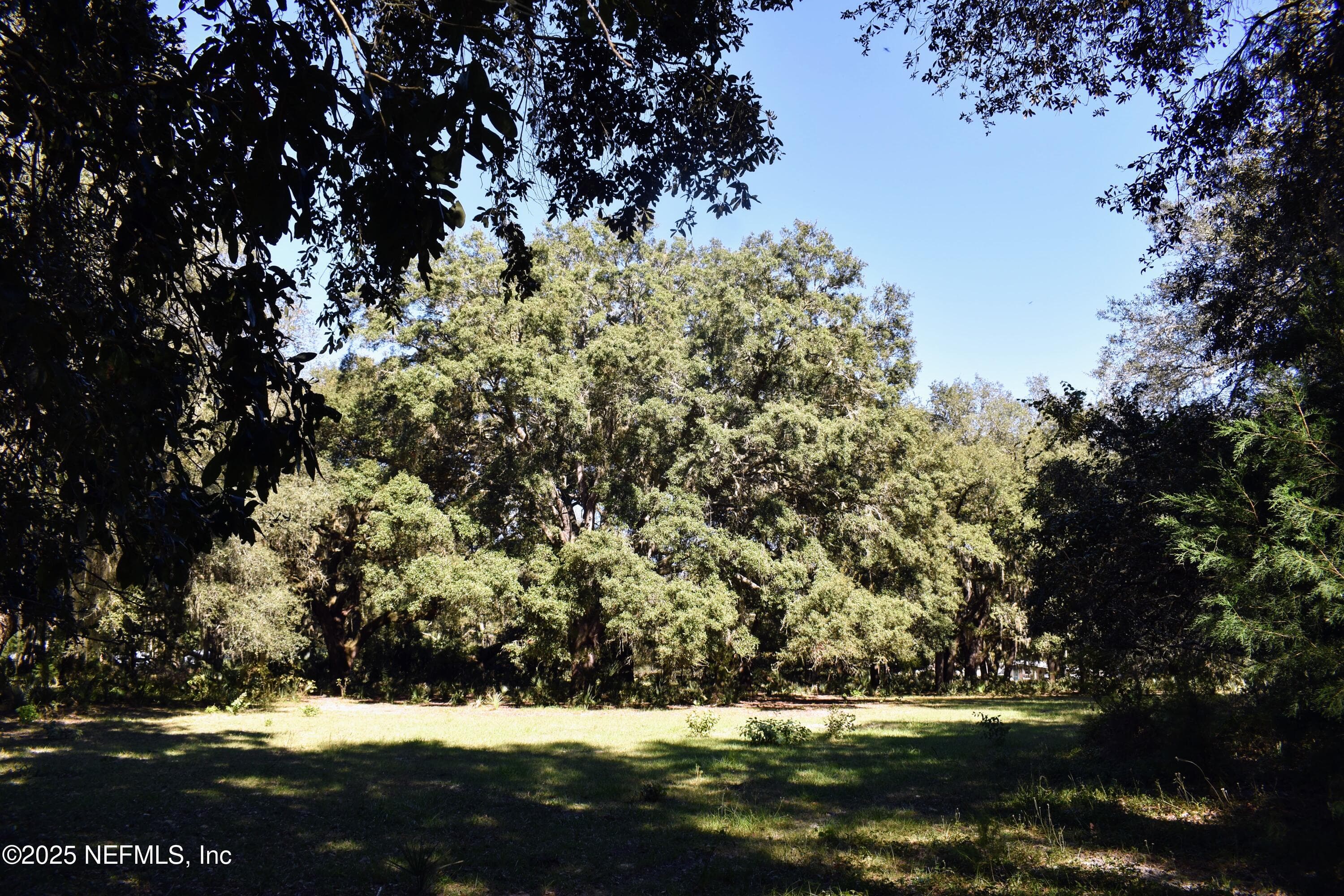 Photo 27 of 00 W PENIEL Road, Palatka, FL 32177