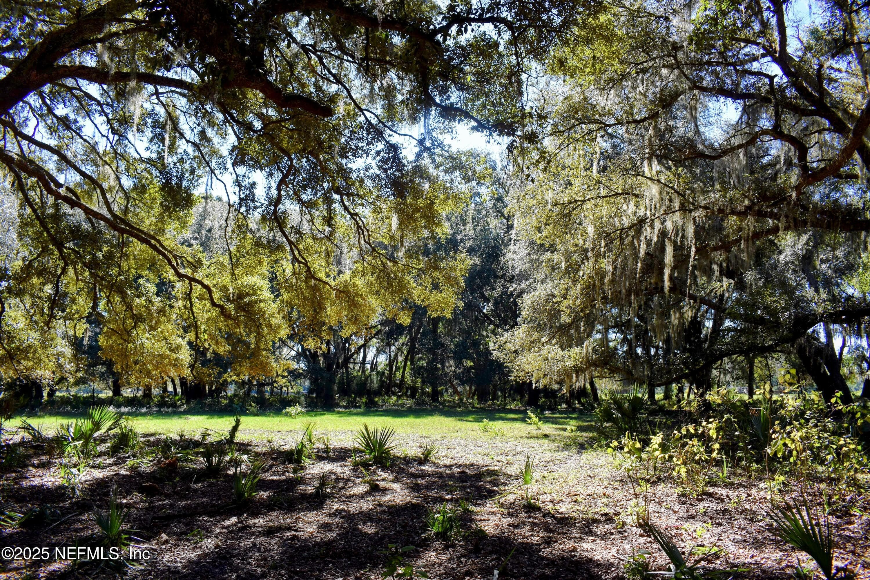 Photo 10 of 00 W PENIEL Road, Palatka, FL 32177