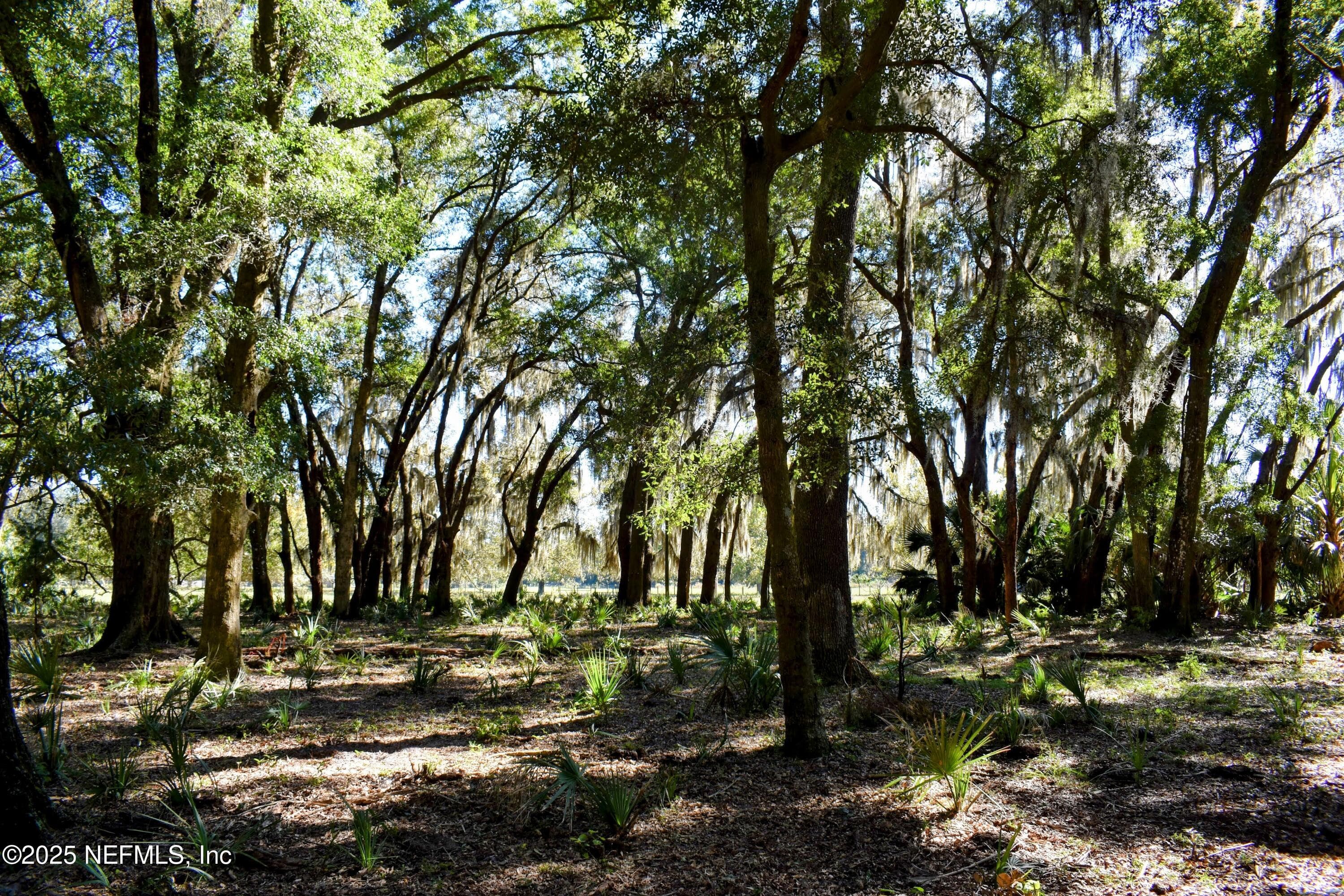 Photo 28 of 00 W PENIEL Road, Palatka, FL 32177