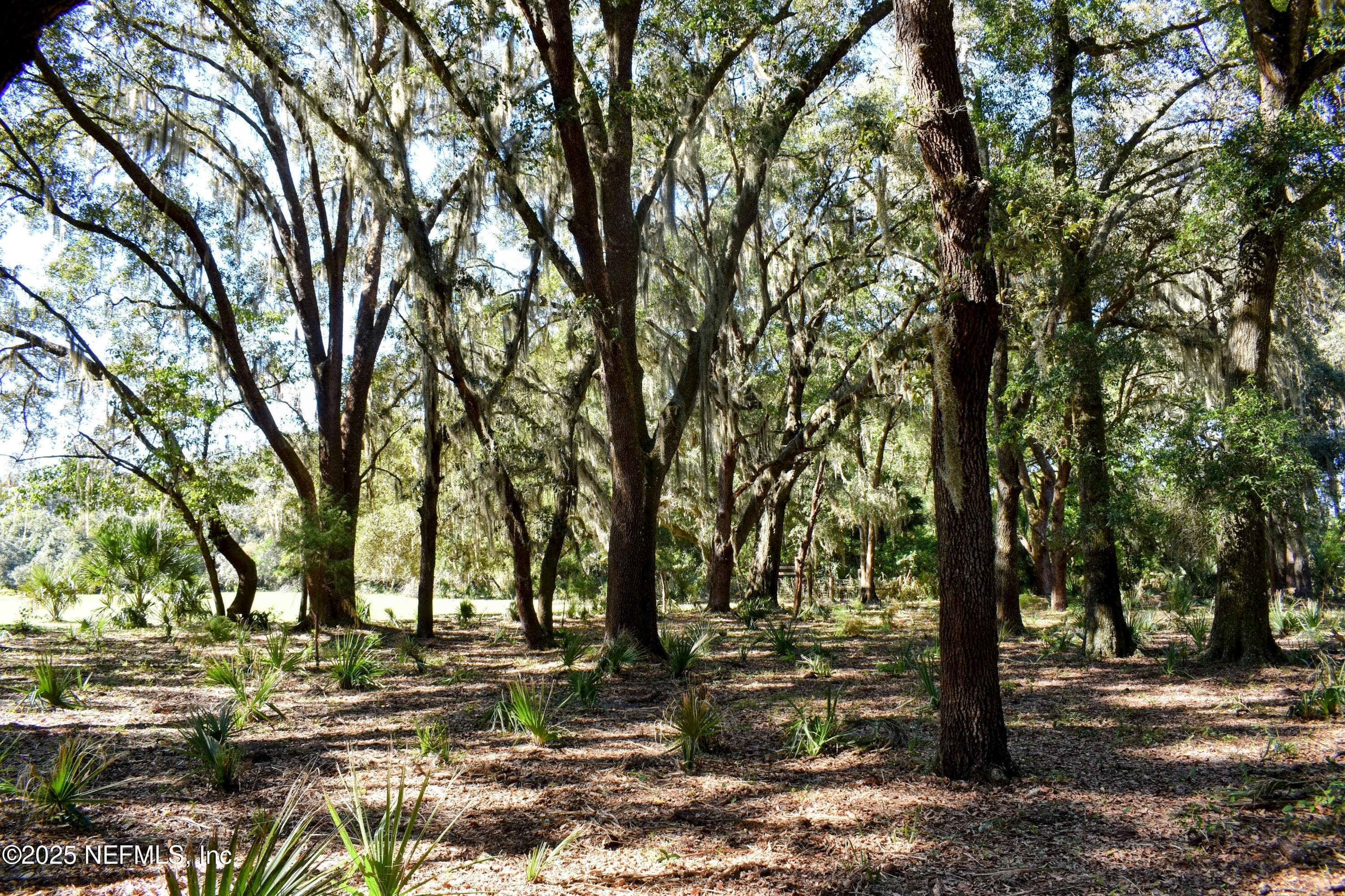 Photo 29 of 00 W PENIEL Road, Palatka, FL 32177