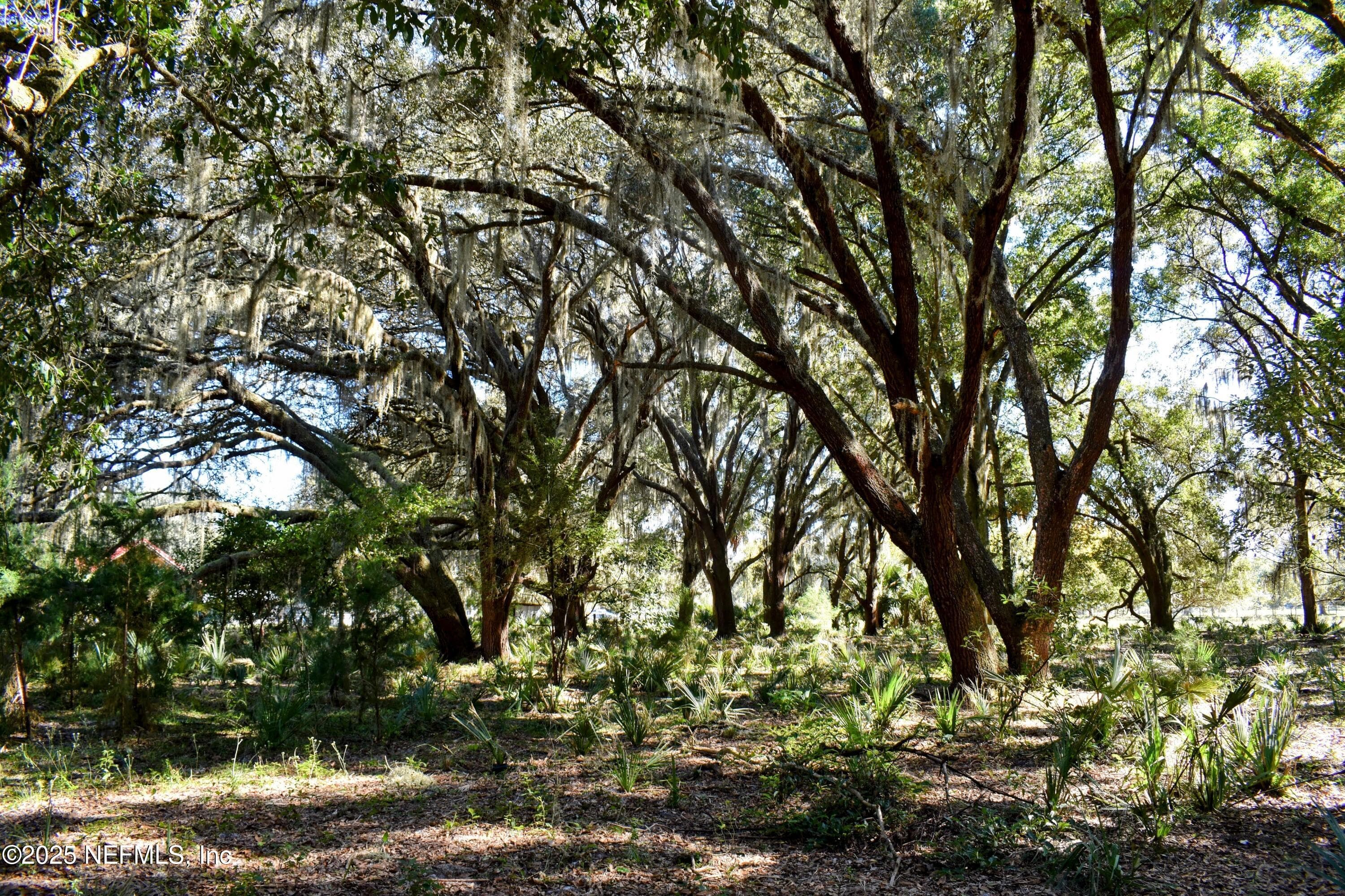 Photo 30 of 00 W PENIEL Road, Palatka, FL 32177