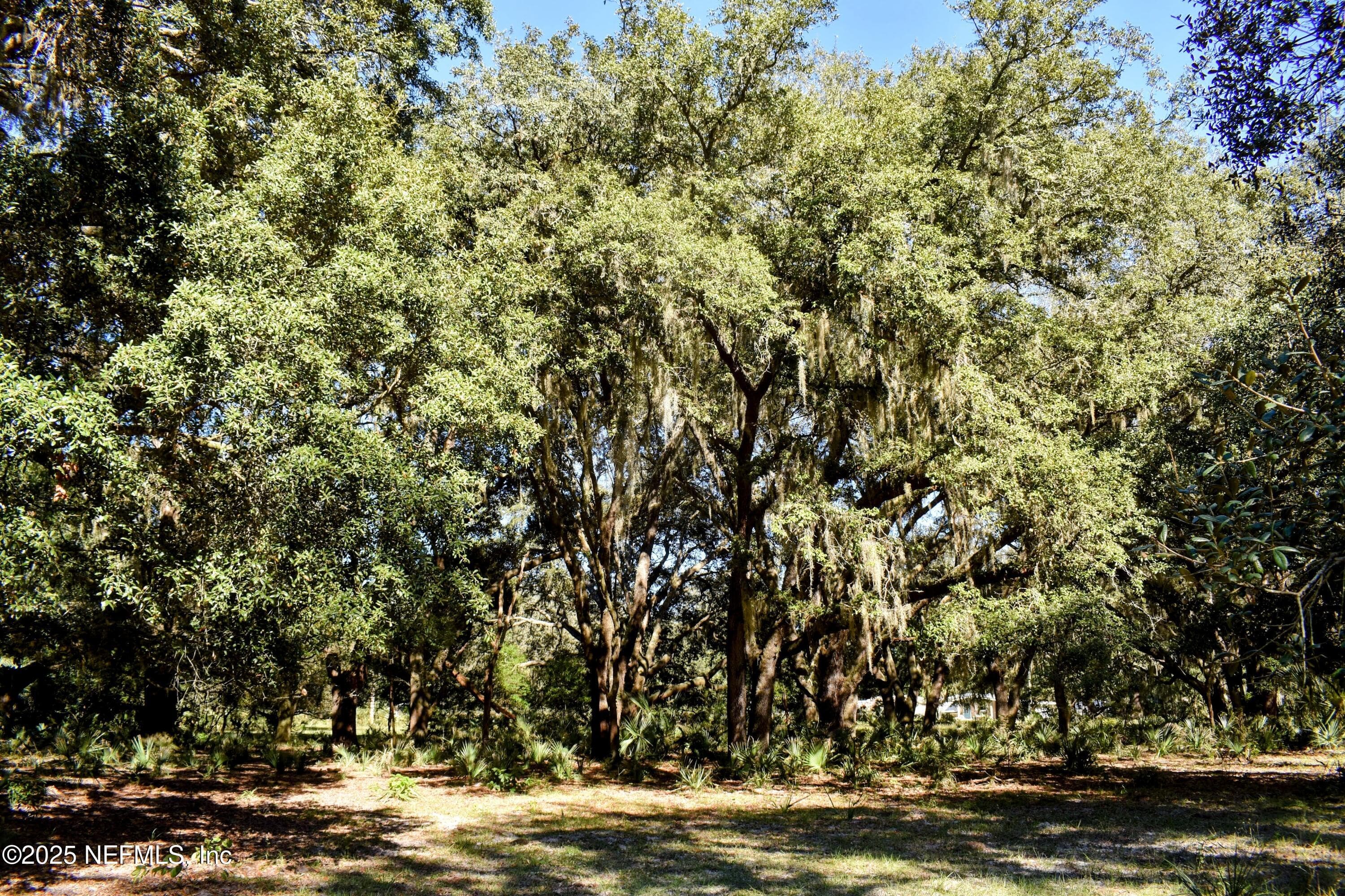 Photo 31 of 00 W PENIEL Road, Palatka, FL 32177