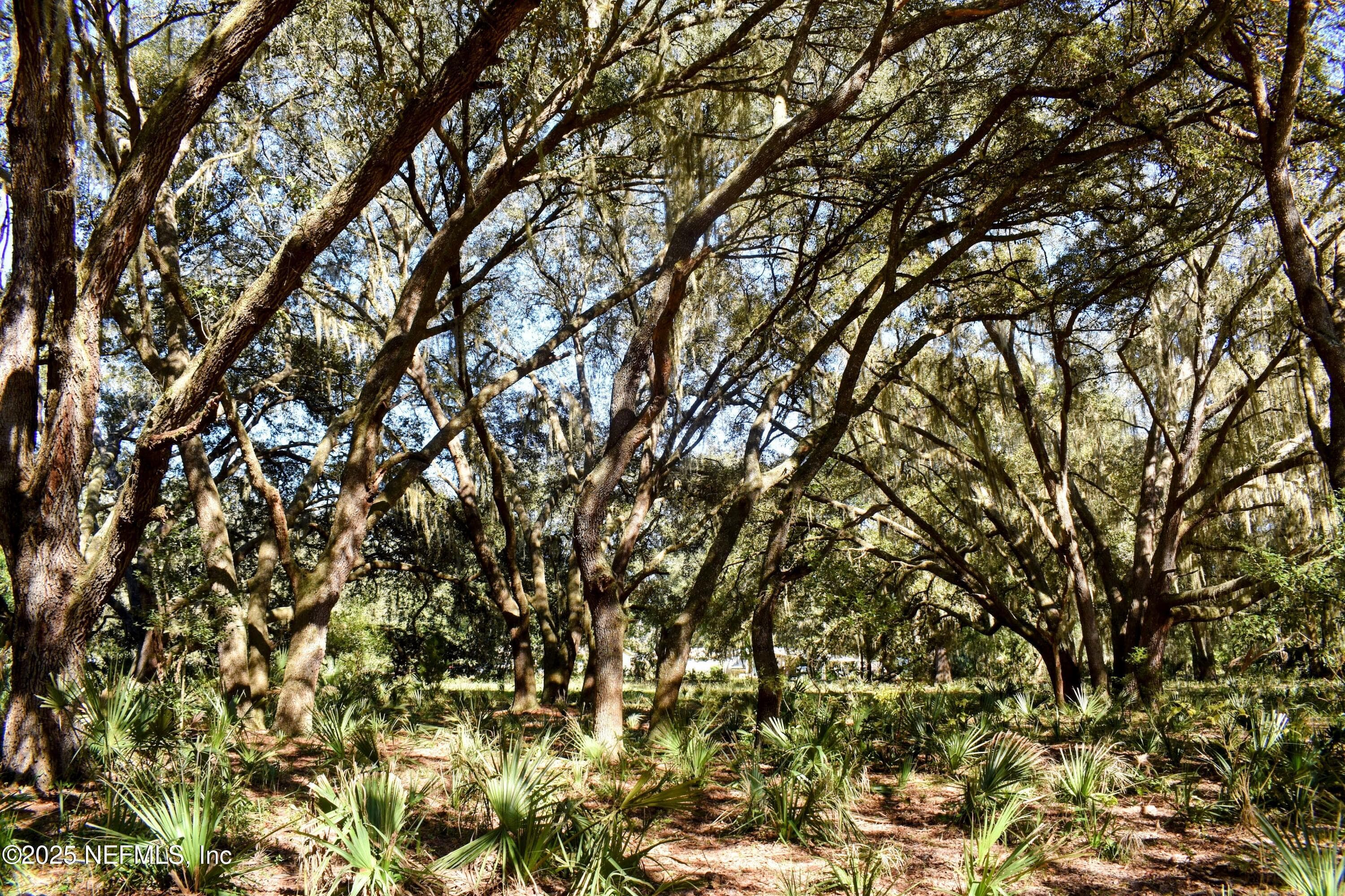 Photo 32 of 00 W PENIEL Road, Palatka, FL 32177