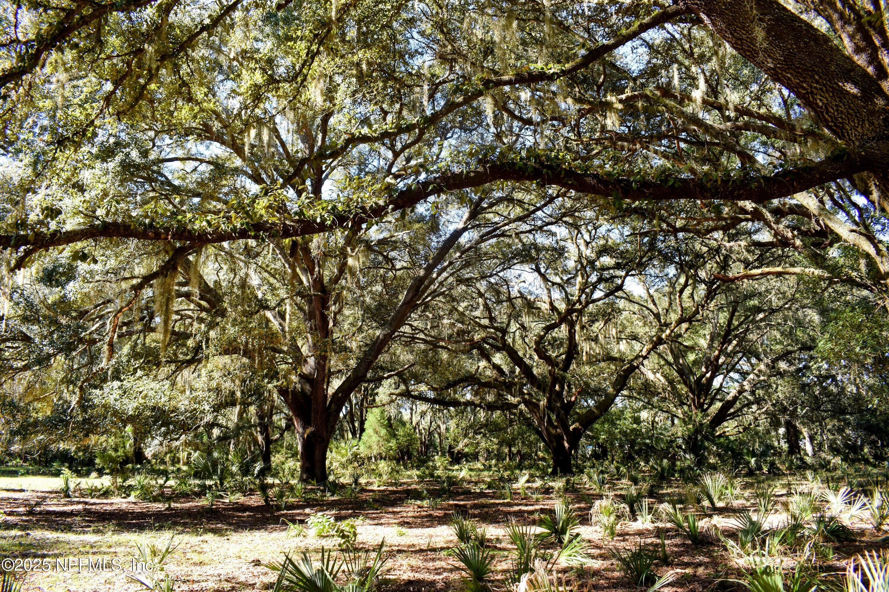 Photo 33 of 00 W PENIEL Road, Palatka, FL 32177